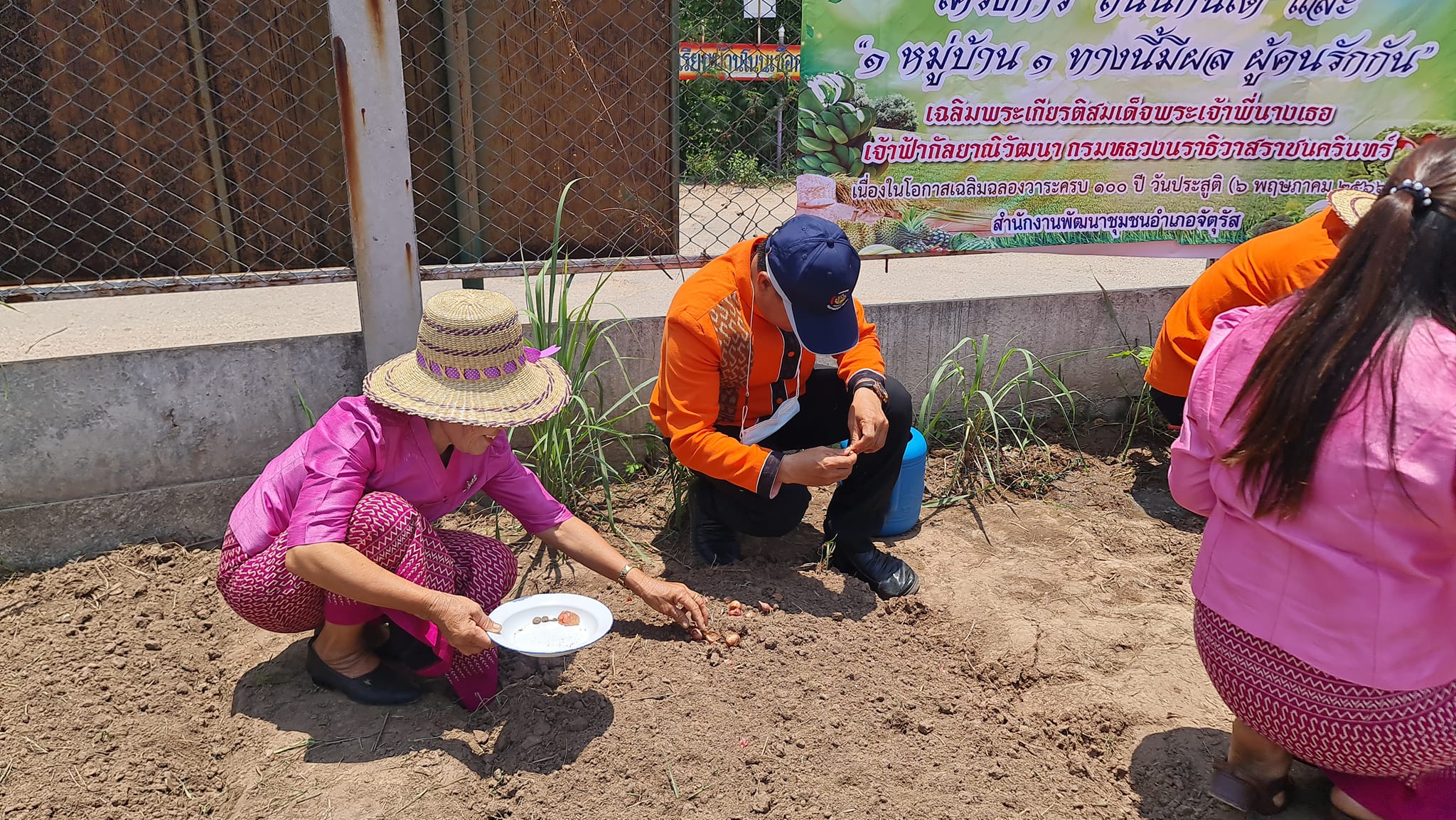 #พช.ชัยภูมิ ร่วมกิจกรรม “ถนนกินได้” และ “1 หมู่บ้าน 1 ทางนี้มีผลผู้คนรักกัน” เฉลิมพระเกียรติสมเด็จพระเจ้าพี่นางเธอเจ้าฟ้ากัลยาณิวัฒนา กรมหลวงนราธิวาสราชนครินทร์ เนื่องในโอกาสเฉลิมฉลองวาระครบ 100 ปี