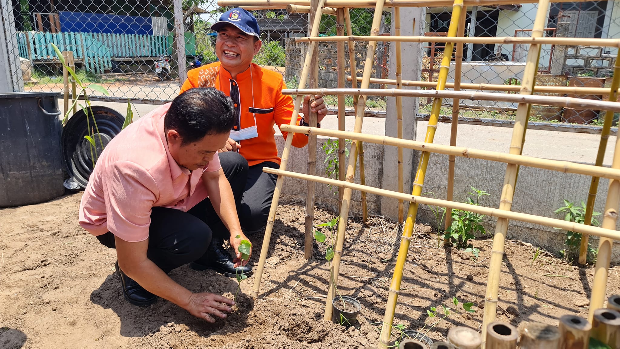 #พช.ชัยภูมิ ร่วมกิจกรรม “ถนนกินได้” และ “1 หมู่บ้าน 1 ทางนี้มีผลผู้คนรักกัน” เฉลิมพระเกียรติสมเด็จพระเจ้าพี่นางเธอเจ้าฟ้ากัลยาณิวัฒนา กรมหลวงนราธิวาสราชนครินทร์ เนื่องในโอกาสเฉลิมฉลองวาระครบ 100 ปี