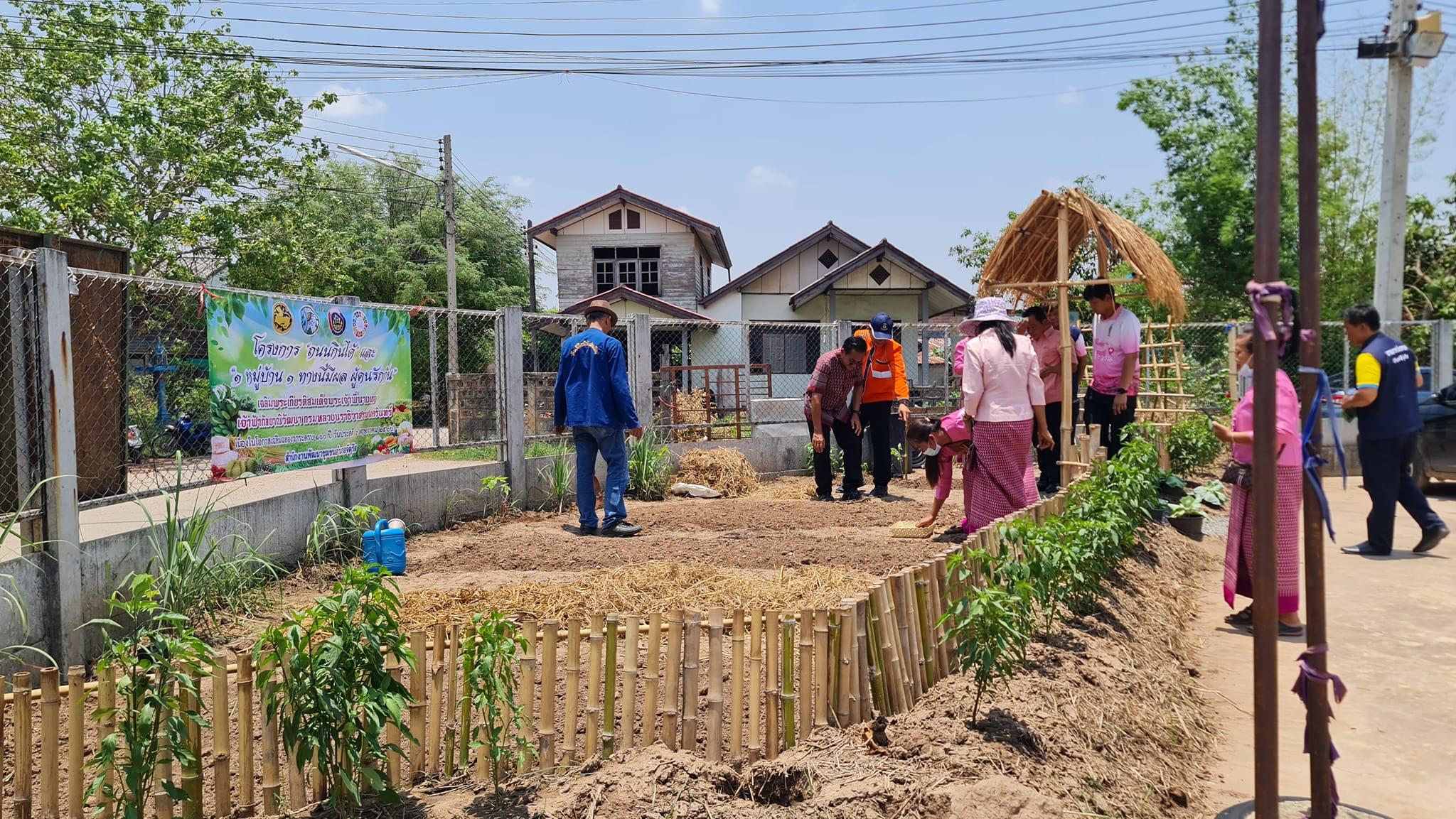 #พช.ชัยภูมิ ร่วมกิจกรรม “ถนนกินได้” และ “1 หมู่บ้าน 1 ทางนี้มีผลผู้คนรักกัน” เฉลิมพระเกียรติสมเด็จพระเจ้าพี่นางเธอเจ้าฟ้ากัลยาณิวัฒนา กรมหลวงนราธิวาสราชนครินทร์ เนื่องในโอกาสเฉลิมฉลองวาระครบ 100 ปี
