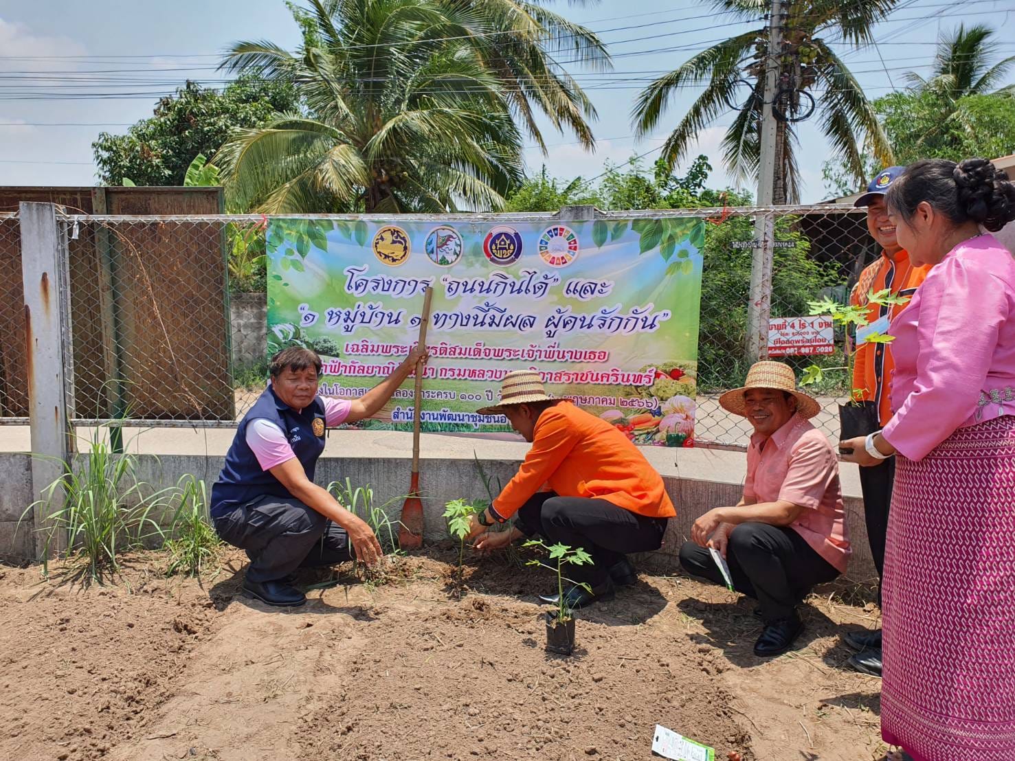 #พช.ชัยภูมิ ร่วมกิจกรรม “ถนนกินได้” และ “1 หมู่บ้าน 1 ทางนี้มีผลผู้คนรักกัน” เฉลิมพระเกียรติสมเด็จพระเจ้าพี่นางเธอเจ้าฟ้ากัลยาณิวัฒนา กรมหลวงนราธิวาสราชนครินทร์ เนื่องในโอกาสเฉลิมฉลองวาระครบ 100 ปี