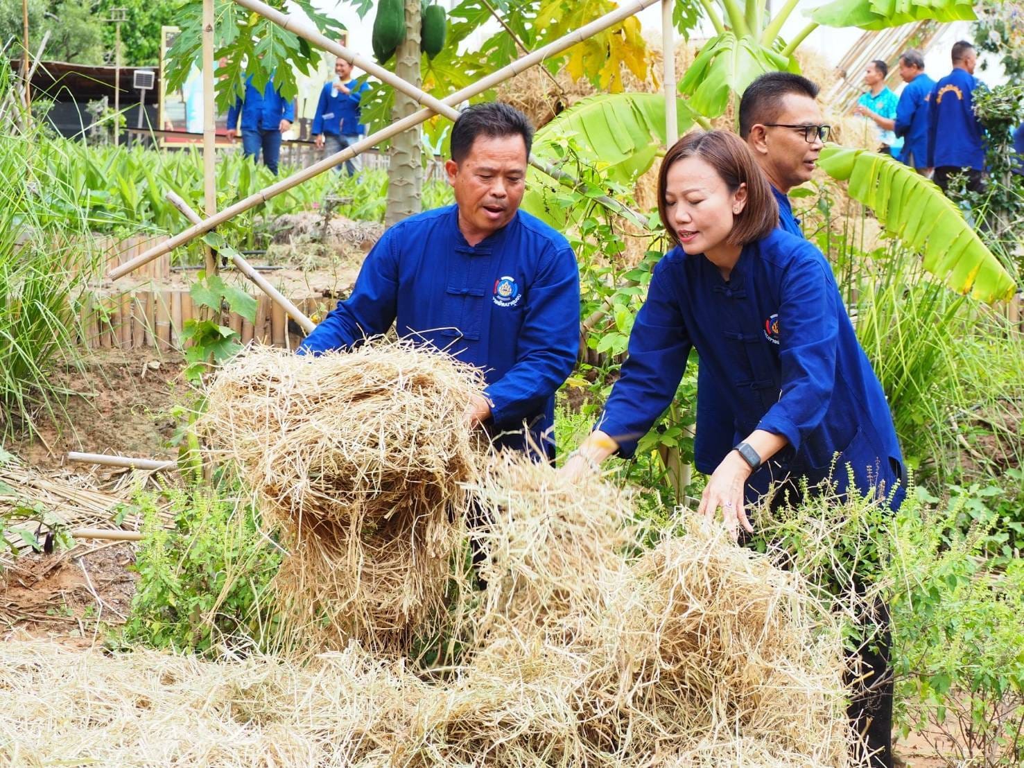 #พช.ชัยภูมิ จัดกิจกรรมเอามื้อสามัคคี เสริมทักษาชีวิตวิถีใหม่เยาวชนไทยสร้างอาหารเป็นเพื่อความมั่นคงทางอาหาร