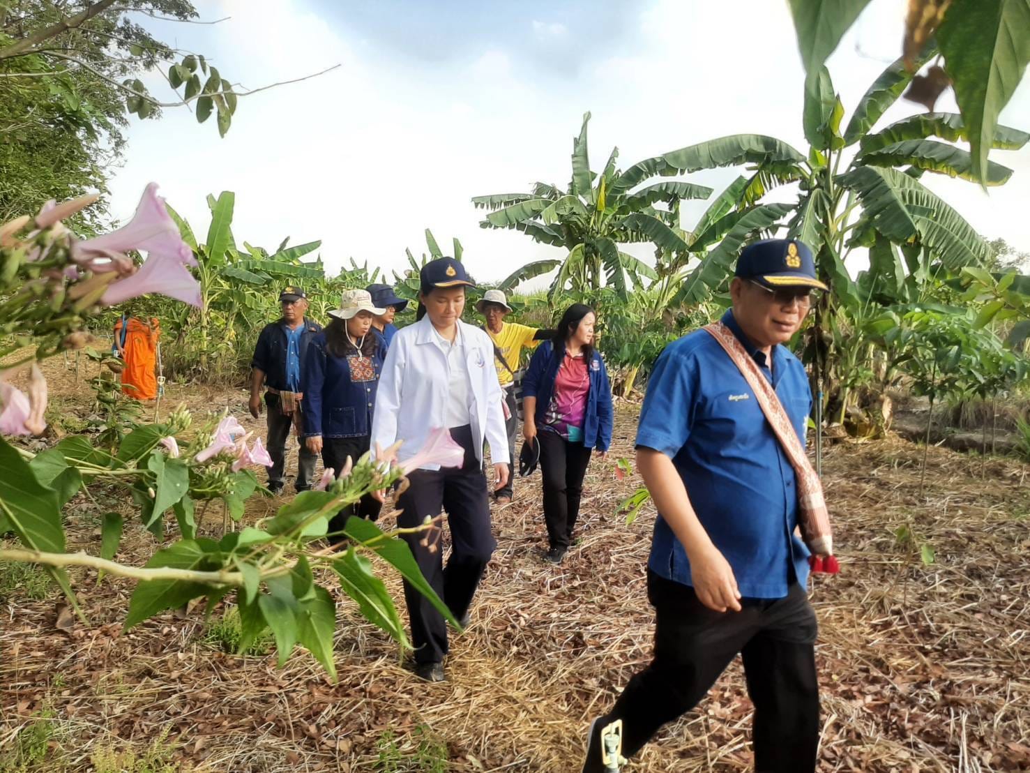 ผู้ว่าราชการจังหวัดชัยภูมิ ลงพื้นที่เยี่ยมชมแปลง โคก หนอง นา แห่งศรัทธาประเทศอังกฤษ สู่ประเทศไทย อำเภอภูเขียว จังหวัดชัยภูมิ
