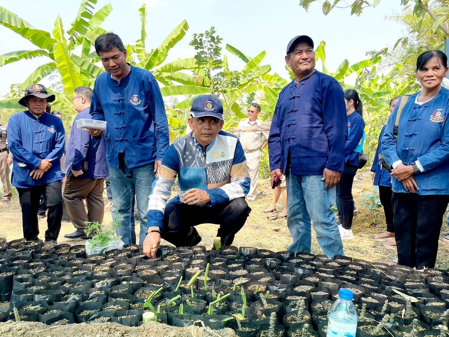 จังหวัดชัยภูมิ>>น้อมสำนึกในพระมหากรุณาธิคุณพระบาทสมเด็จพระเจ้าอยู่หัว ผู้ว่าราชการจังหวัดชัยภูมิ นำเอามื้อสามัคคี เพาะเมล็ดกล้าไม้และพันธุ์ผัก ขยายผลการพัฒนาพื้นที่ต้นแบบการพัฒนาคุณภาพชีวิตตามหลักทฤษฎีใหม่ ประยุกต์สู่ “โคก หนอง นา” สร้างพื้นที่ป่า 3 อย่าง ประโยชน์ 4 อย่าง
