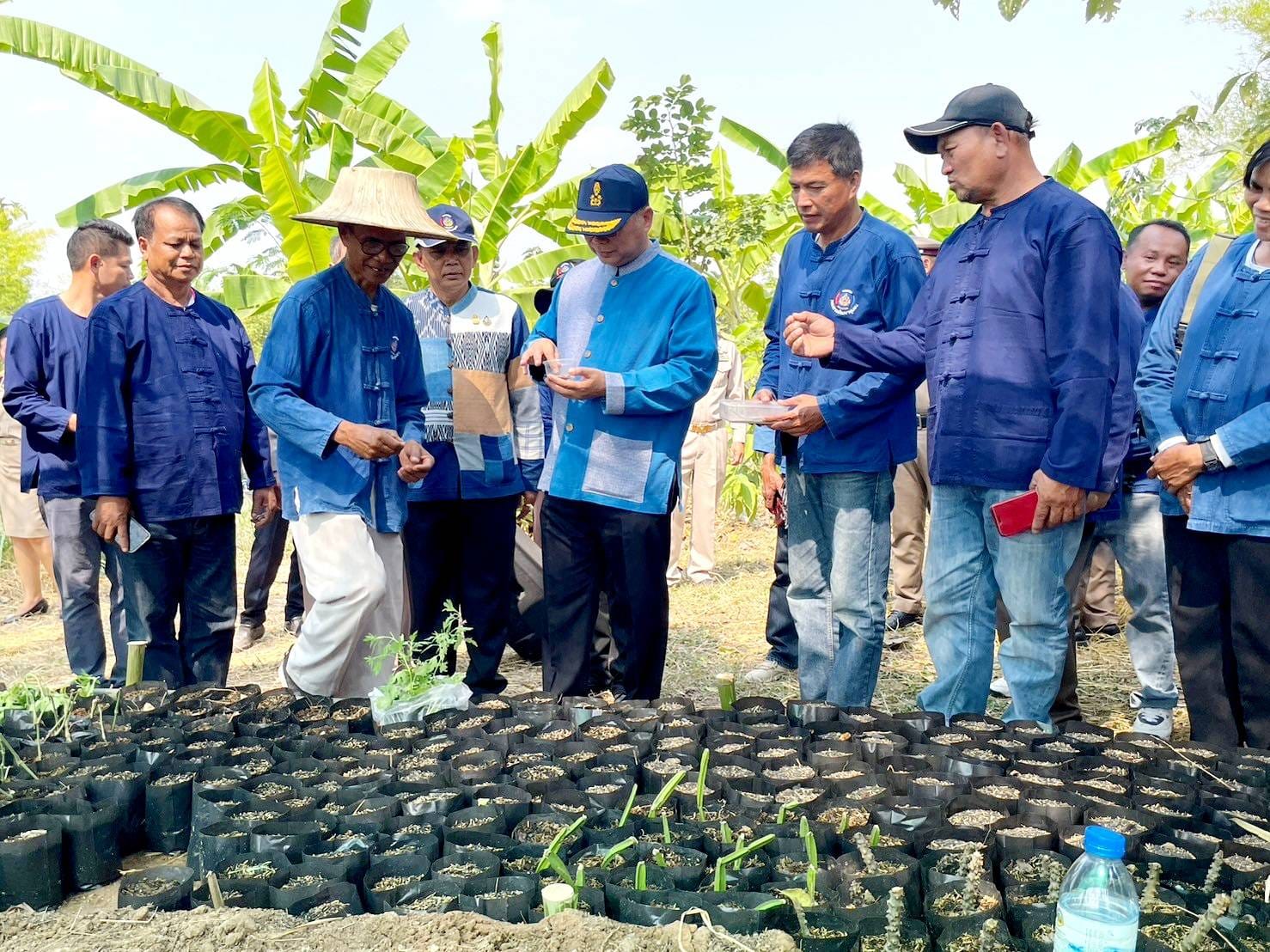 จังหวัดชัยภูมิ>>น้อมสำนึกในพระมหากรุณาธิคุณพระบาทสมเด็จพระเจ้าอยู่หัว ผู้ว่าราชการจังหวัดชัยภูมิ นำเอามื้อสามัคคี เพาะเมล็ดกล้าไม้และพันธุ์ผัก ขยายผลการพัฒนาพื้นที่ต้นแบบการพัฒนาคุณภาพชีวิตตามหลักทฤษฎีใหม่ ประยุกต์สู่ “โคก หนอง นา” สร้างพื้นที่ป่า 3 อย่าง ประโยชน์ 4 อย่าง