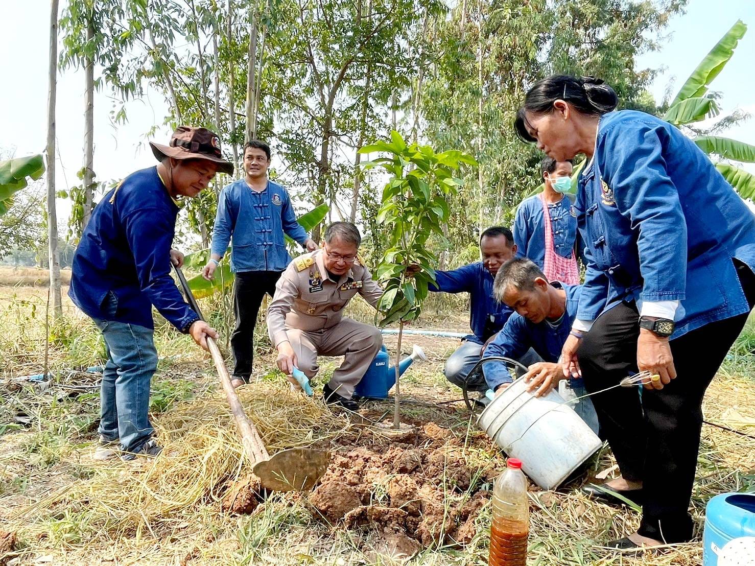 จังหวัดชัยภูมิ>>น้อมสำนึกในพระมหากรุณาธิคุณพระบาทสมเด็จพระเจ้าอยู่หัว ผู้ว่าราชการจังหวัดชัยภูมิ นำเอามื้อสามัคคี เพาะเมล็ดกล้าไม้และพันธุ์ผัก ขยายผลการพัฒนาพื้นที่ต้นแบบการพัฒนาคุณภาพชีวิตตามหลักทฤษฎีใหม่ ประยุกต์สู่ “โคก หนอง นา” สร้างพื้นที่ป่า 3 อย่าง ประโยชน์ 4 อย่าง