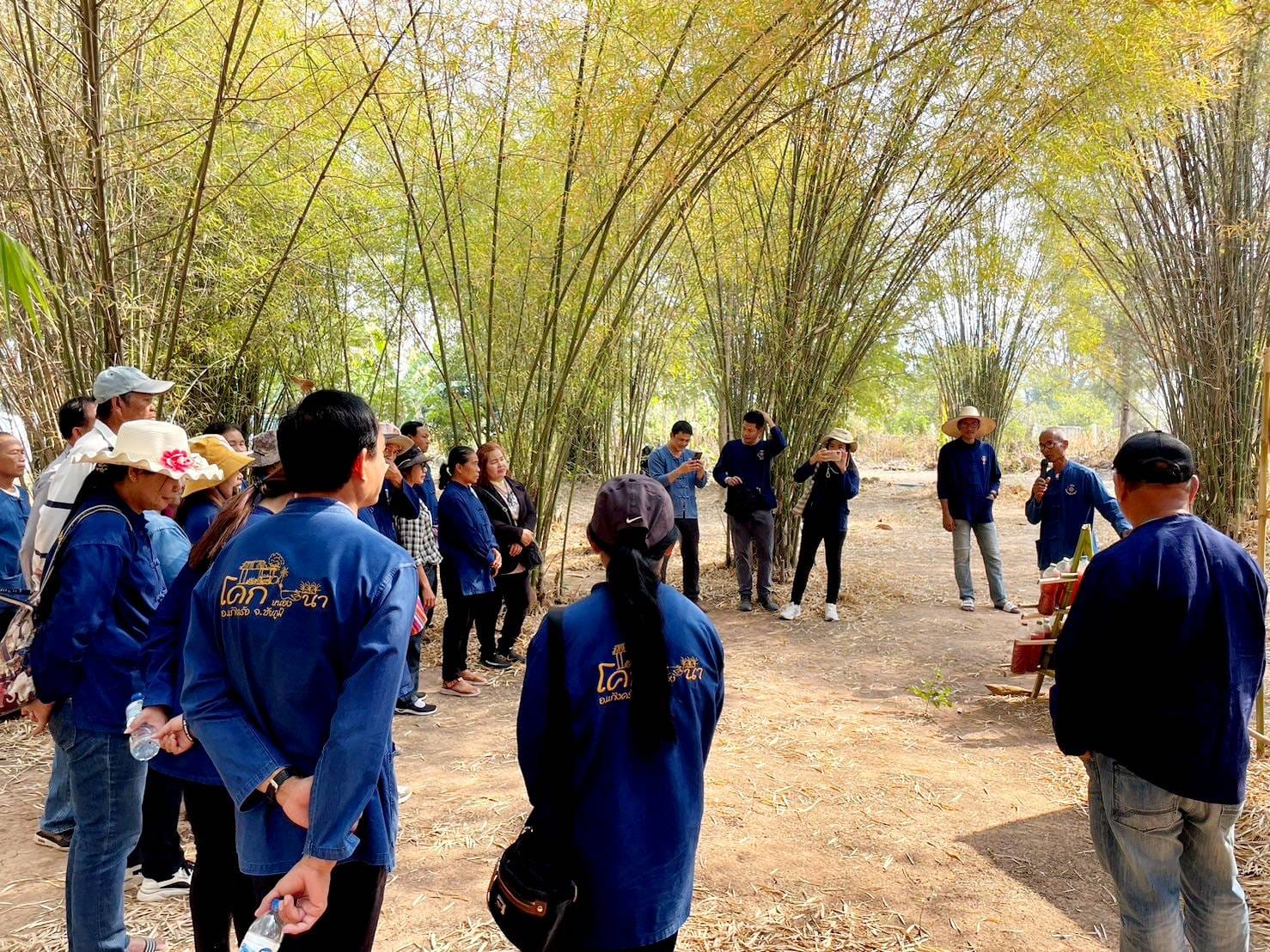 จังหวัดชัยภูมิ>>น้อมสำนึกในพระมหากรุณาธิคุณพระบาทสมเด็จพระเจ้าอยู่หัว ผู้ว่าราชการจังหวัดชัยภูมิ นำเอามื้อสามัคคี เพาะเมล็ดกล้าไม้และพันธุ์ผัก ขยายผลการพัฒนาพื้นที่ต้นแบบการพัฒนาคุณภาพชีวิตตามหลักทฤษฎีใหม่ ประยุกต์สู่ “โคก หนอง นา” สร้างพื้นที่ป่า 3 อย่าง ประโยชน์ 4 อย่าง