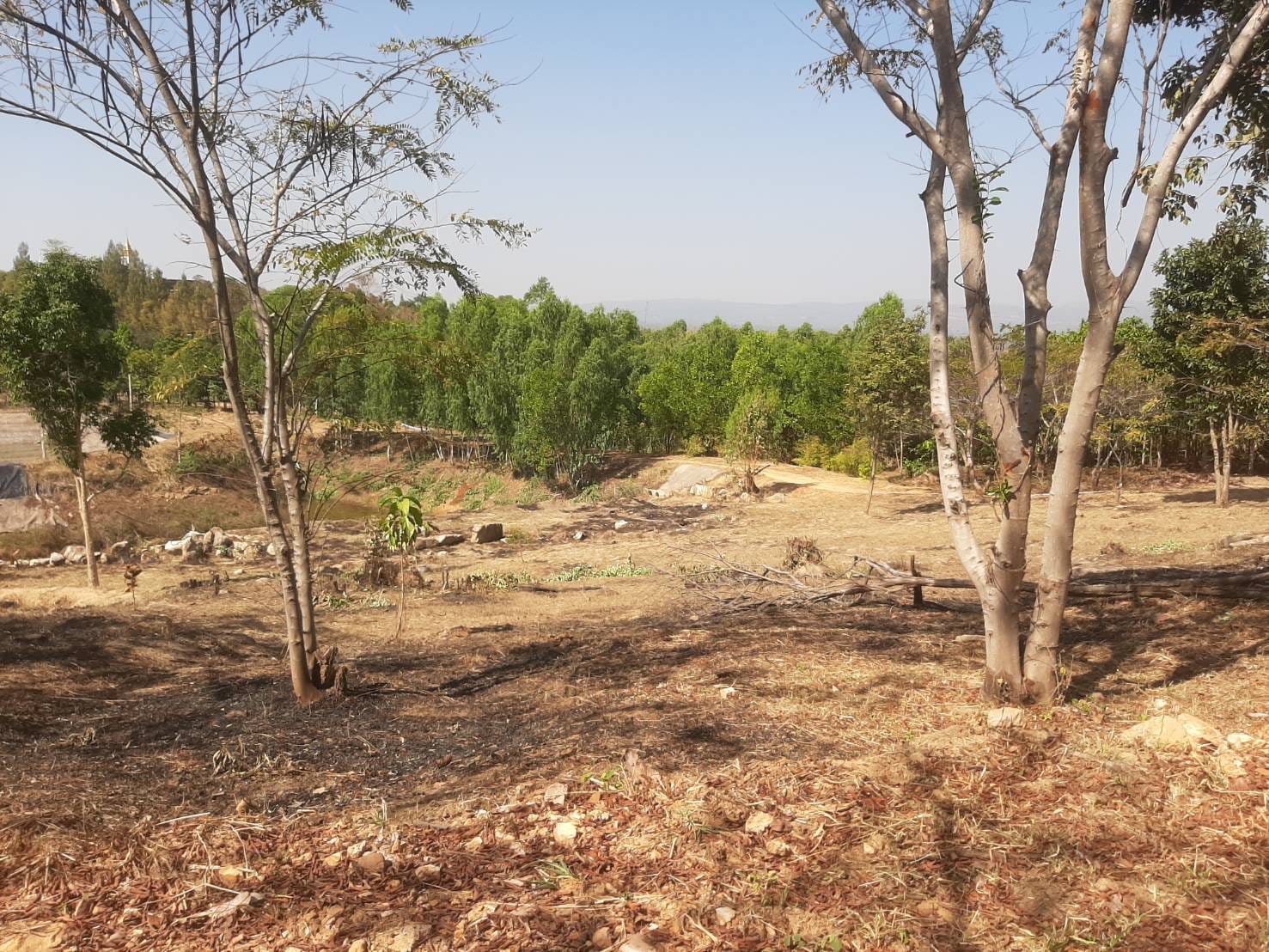 พช.ชัยภูมิ ร่วมลงพื้นที่สำรวจ ออกแบบ โคก หนอง นา อรุณธรรมสถาน วัดพระธาตุชัยภูมิ