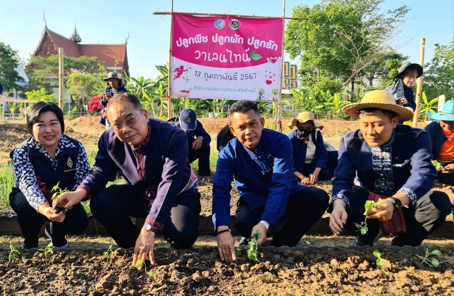 ผู้ว่าราชการจังหวัดชัยภูมิ ผู้นำต้นแบบตัวอย่างที่เห็นจริง “ปลูกพืช ปลูกผัก ปลูกรัก วาเลนไทน์”