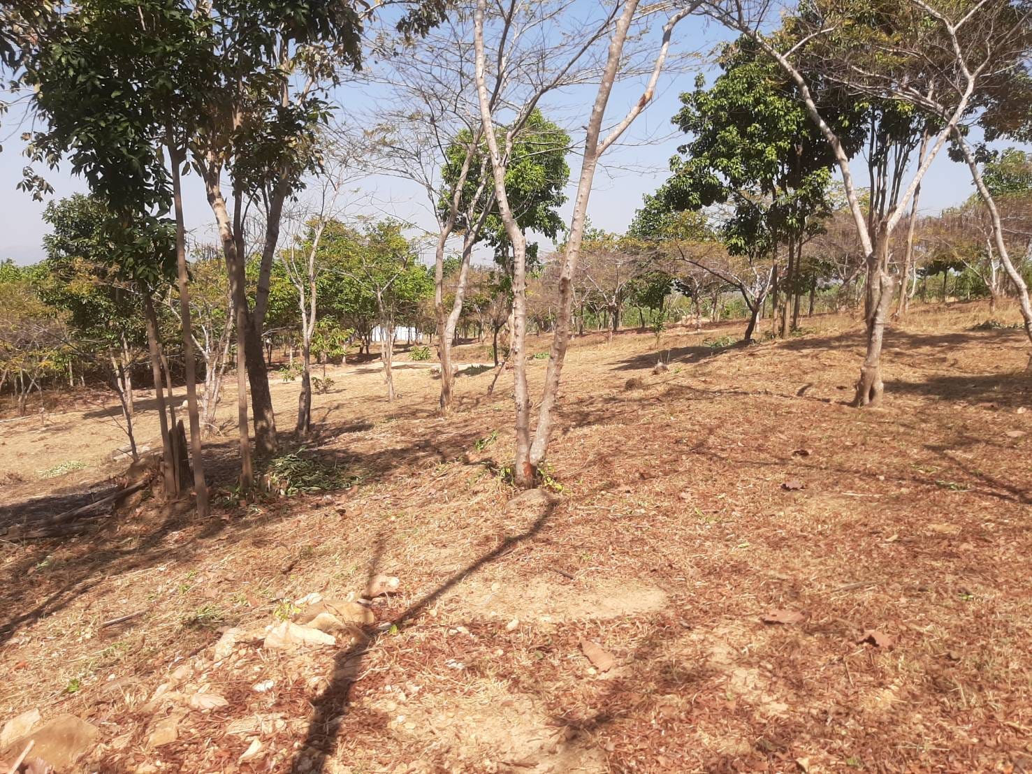 พช.ชัยภูมิ ร่วมลงพื้นที่สำรวจ ออกแบบ โคก หนอง นา อรุณธรรมสถาน วัดพระธาตุชัยภูมิ