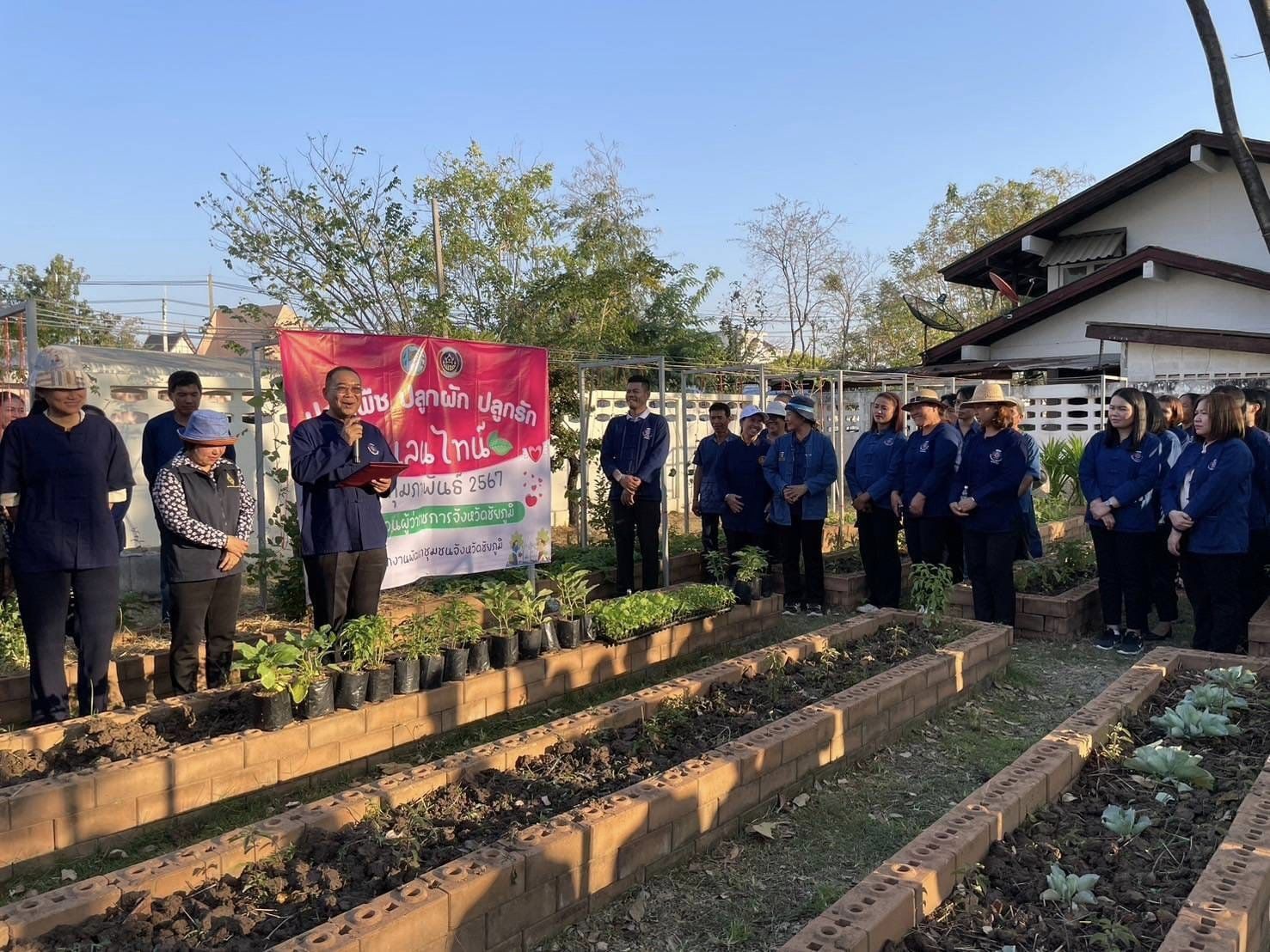 ผู้ว่าราชการจังหวัดชัยภูมิ ผู้นำต้นแบบตัวอย่างที่เห็นจริง “ปลูกพืช ปลูกผัก ปลูกรัก วาเลนไทน์”