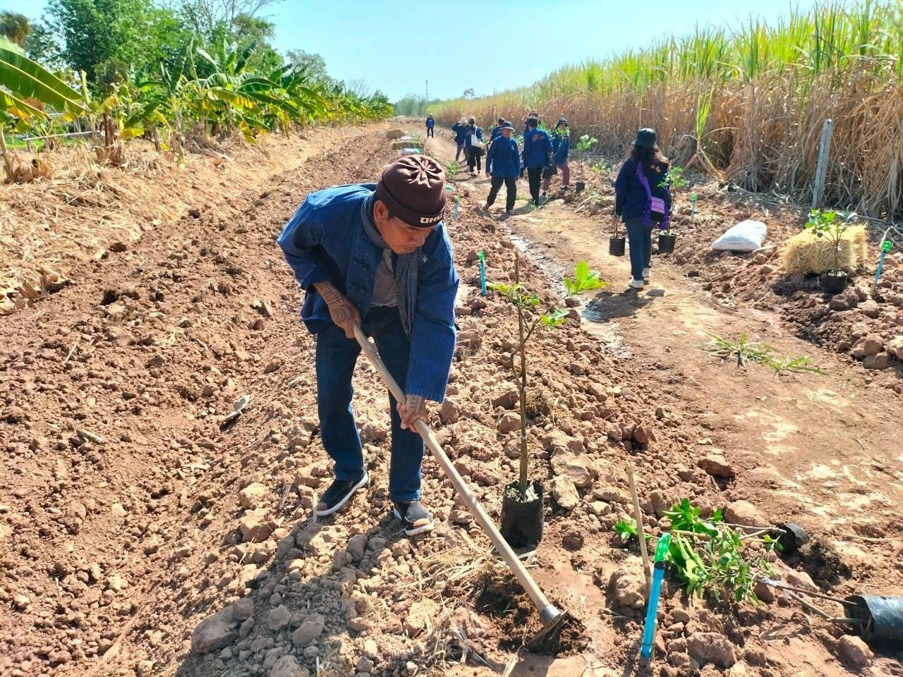 พช.ชัยภูมิ เอามื้อสามัคคี “โคก หนอง นา พัฒนาชุมชน” เฉลิมพระเกียรติพระบาทสมเด็จพระเจ้าอยู่หัว เนื่องในโอกาสมหามงคลเฉลิมพระชนมพรรษา 6 รอบ 28 กรกฎาคม 2567