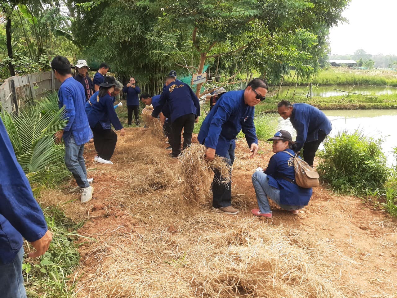 จังหวัดชัยภูมิ รวมพลคน โคก หนอง นา เอามื้อสามัคคี สู่การพัฒนาคุณภาพชีวิตที่ยั่งยืน ตำบลนาฝาย อำเภอเมืองชัยภูมิ จังหวัดชัยภูมิ