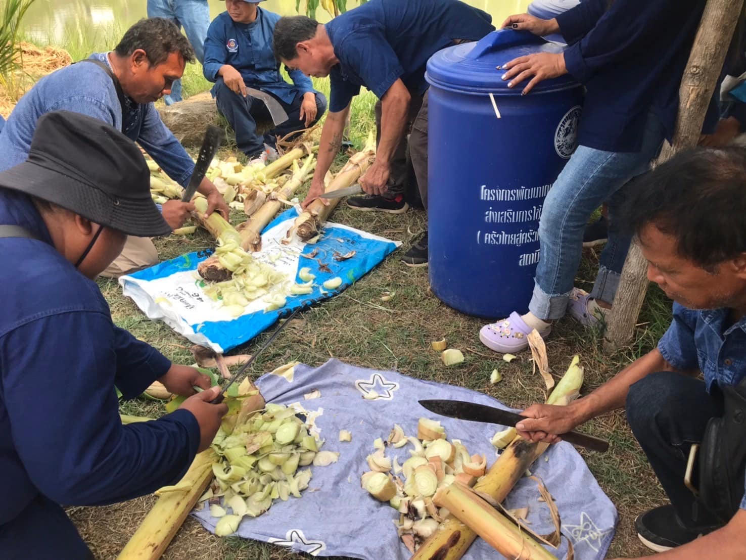 จังหวัดชัยภูมิ รวมพลคน โคก หนอง นา เอามื้อสามัคคี สู่การพัฒนาคุณภาพชีวิตที่ยั่งยืน ตำบลนาฝาย อำเภอเมืองชัยภูมิ จังหวัดชัยภูมิ