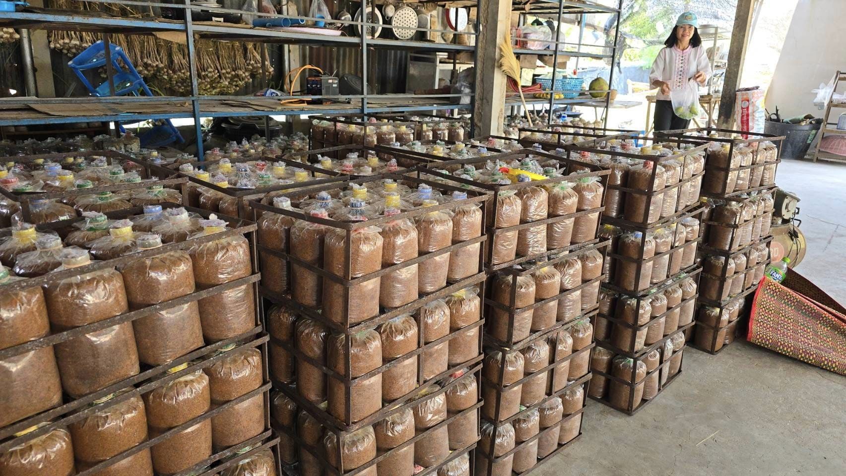 พช.ชัยภูมิ  ร่วมติดตามและสนับสนุนการดำเนินงานความสำเร็จในการบริหารจัดการหนี้ และกลุ่มอาชีพที่ลงทะเบียนผลิตภัณฑ์ชุมชน OTOP ประจำปี 2567