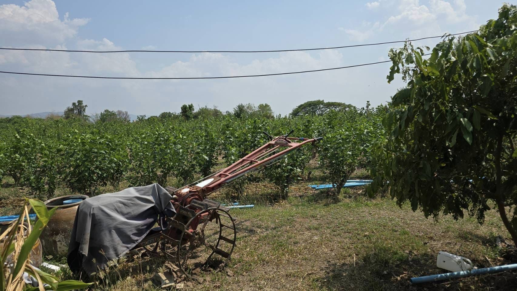 พช.ชัยภูมิ  ร่วมติดตามและสนับสนุนการดำเนินงานความสำเร็จในการบริหารจัดการหนี้ และกลุ่มอาชีพที่ลงทะเบียนผลิตภัณฑ์ชุมชน OTOP ประจำปี 2567
