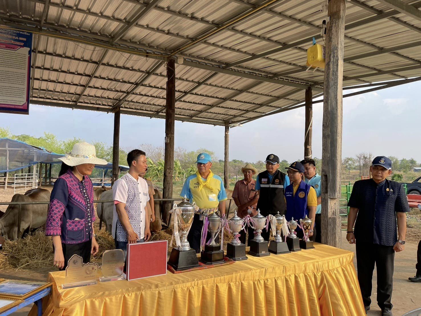 ผู้ว่าฯ ชัยภูมิ นำส่วนราชการและภาคีพัฒนาลงพื้นที่ติดตามการเลี้ยงโคเนื้อคุณภาพสูง ควบคุมต้นน้ำวัตถุดิบการผลิตหม่ำชัยภูมิ ขับเคลื่อนการพัฒนาเศรษฐกิจฐานรากด้านการเกษตร แปรรูป และการท่องเที่ยวโดยชุมชน