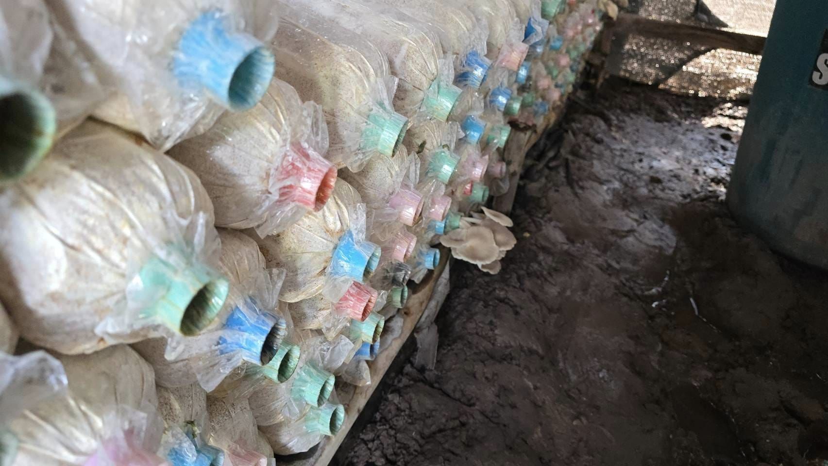 พช.ชัยภูมิ  ร่วมติดตามและสนับสนุนการดำเนินงานความสำเร็จในการบริหารจัดการหนี้ และกลุ่มอาชีพที่ลงทะเบียนผลิตภัณฑ์ชุมชน OTOP ประจำปี 2567