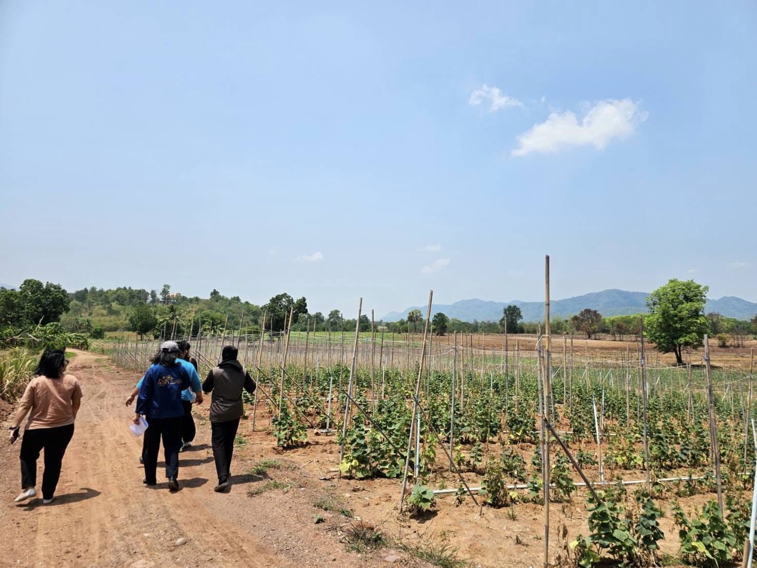 พช.ชัยภูมิ : ร่วมติดตามและสนับสนุนการดำเนินงานในการบริหารจัดการหนี้ และกลุ่มอาชีพที่ลงทะเบียนผลิตภัณฑ์ชุมชน OTOP ประจำปี 2567 อำเภอภักดีชุมพล จังหวัดชัยภูมิ