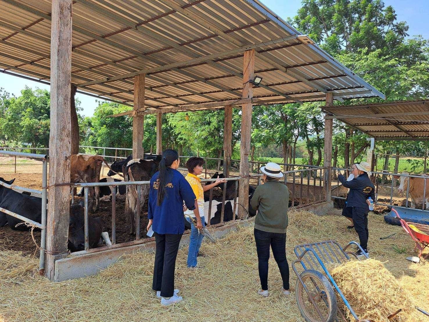 พช.ชัยภูมิ ร่วมติดตามและสนับสนุนการดำเนินงานในการบริหารจัดการหนี้ และกลุ่มอาชีพที่ลงทะเบียนผลิตภัณฑ์ชุมชน OTOP ประจำปี 2567 อำเภอเทพสถิต จังหวัดชัยภูมิ