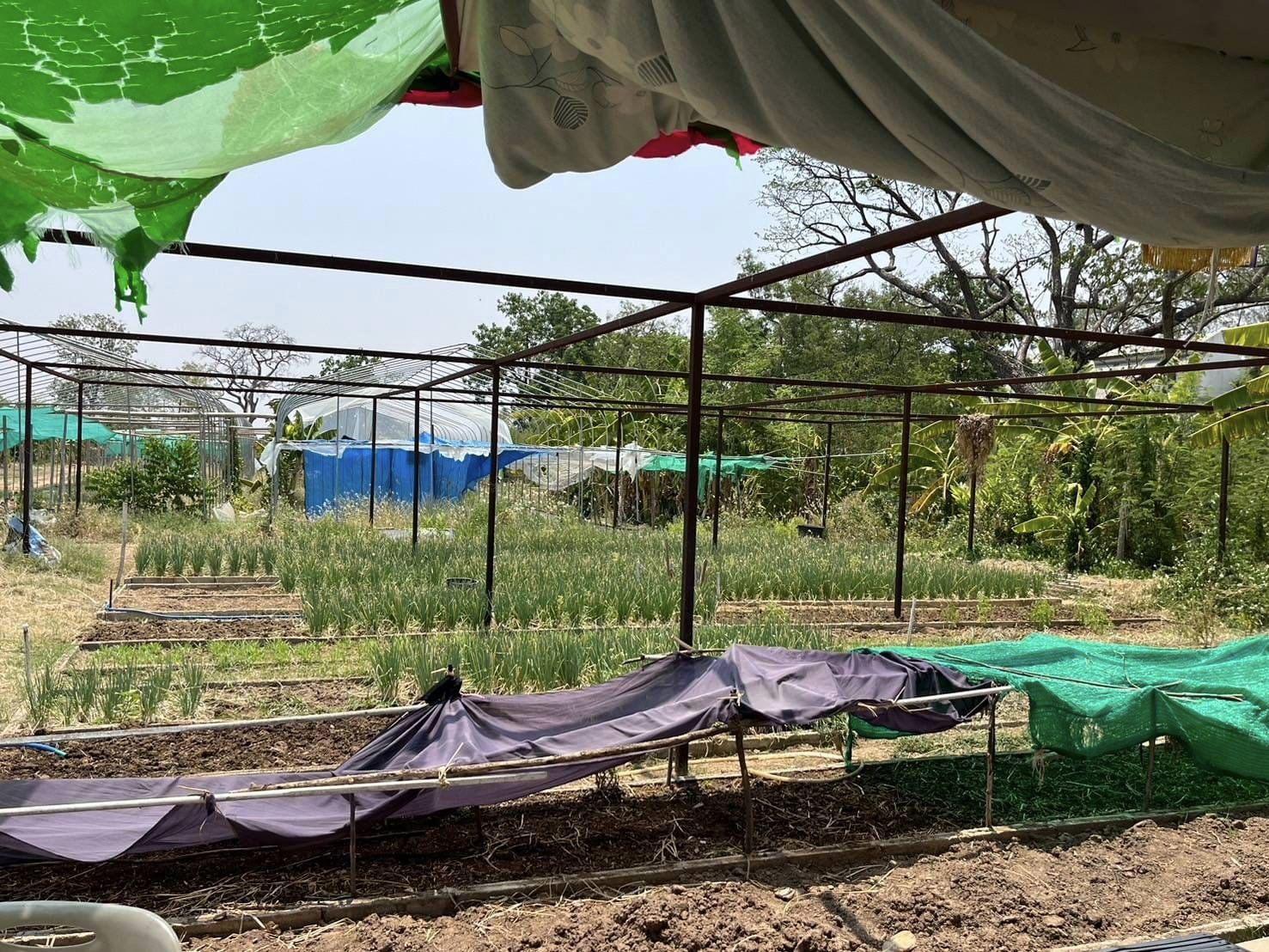 พช.ชัยภูมิ : ร่วมติดตามและสนับสนุนการดำเนินงานในการบริหารจัดการหนี้ และกลุ่มอาชีพที่ลงทะเบียนผลิตภัณฑ์ชุมชน OTOP ประจำปี 2567 อำเภอคอนสวรรค์ จังหวัดชัยภูมิ