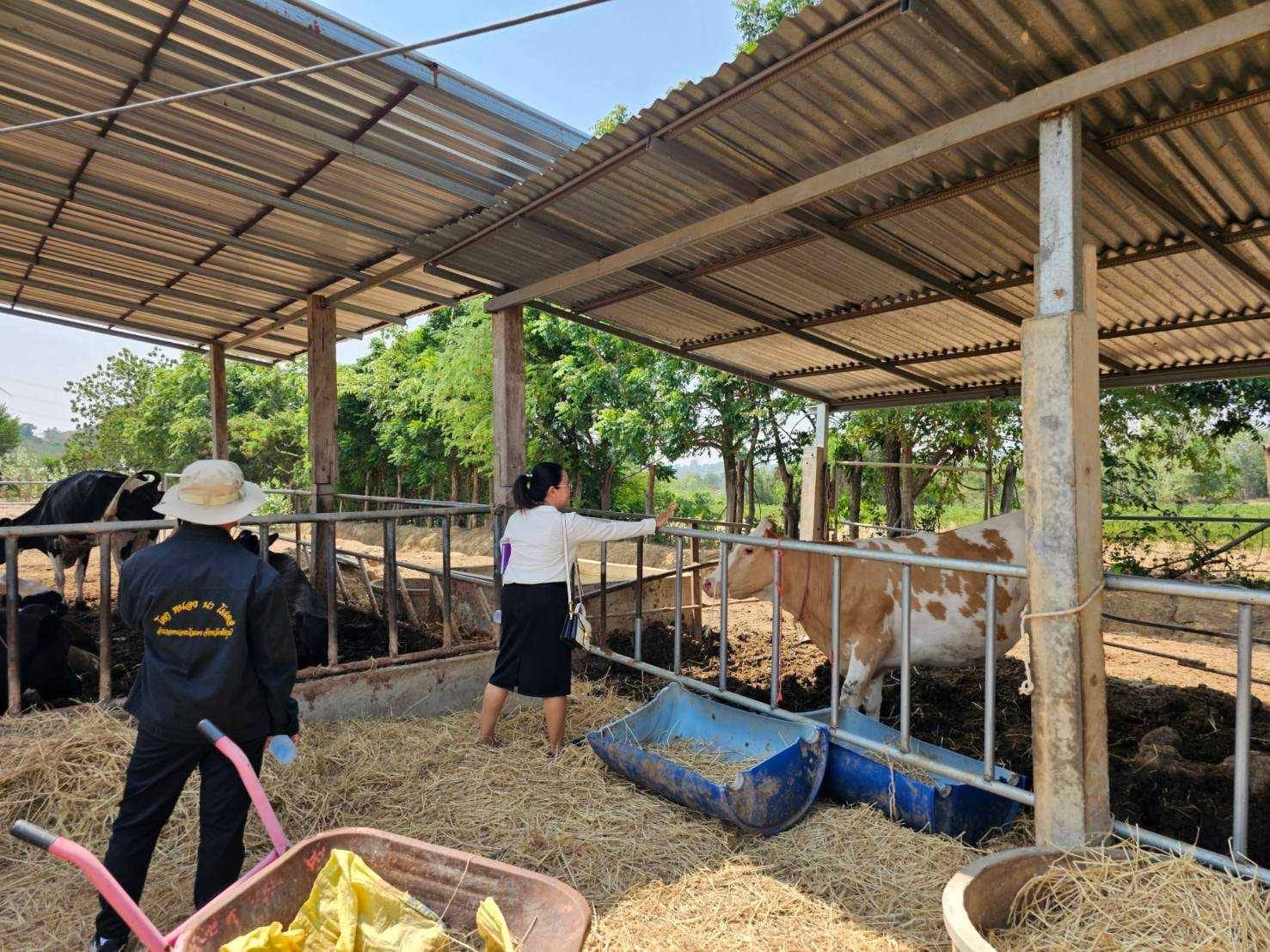 พช.ชัยภูมิ ร่วมติดตามและสนับสนุนการดำเนินงานในการบริหารจัดการหนี้ และกลุ่มอาชีพที่ลงทะเบียนผลิตภัณฑ์ชุมชน OTOP ประจำปี 2567 อำเภอเทพสถิต จังหวัดชัยภูมิ