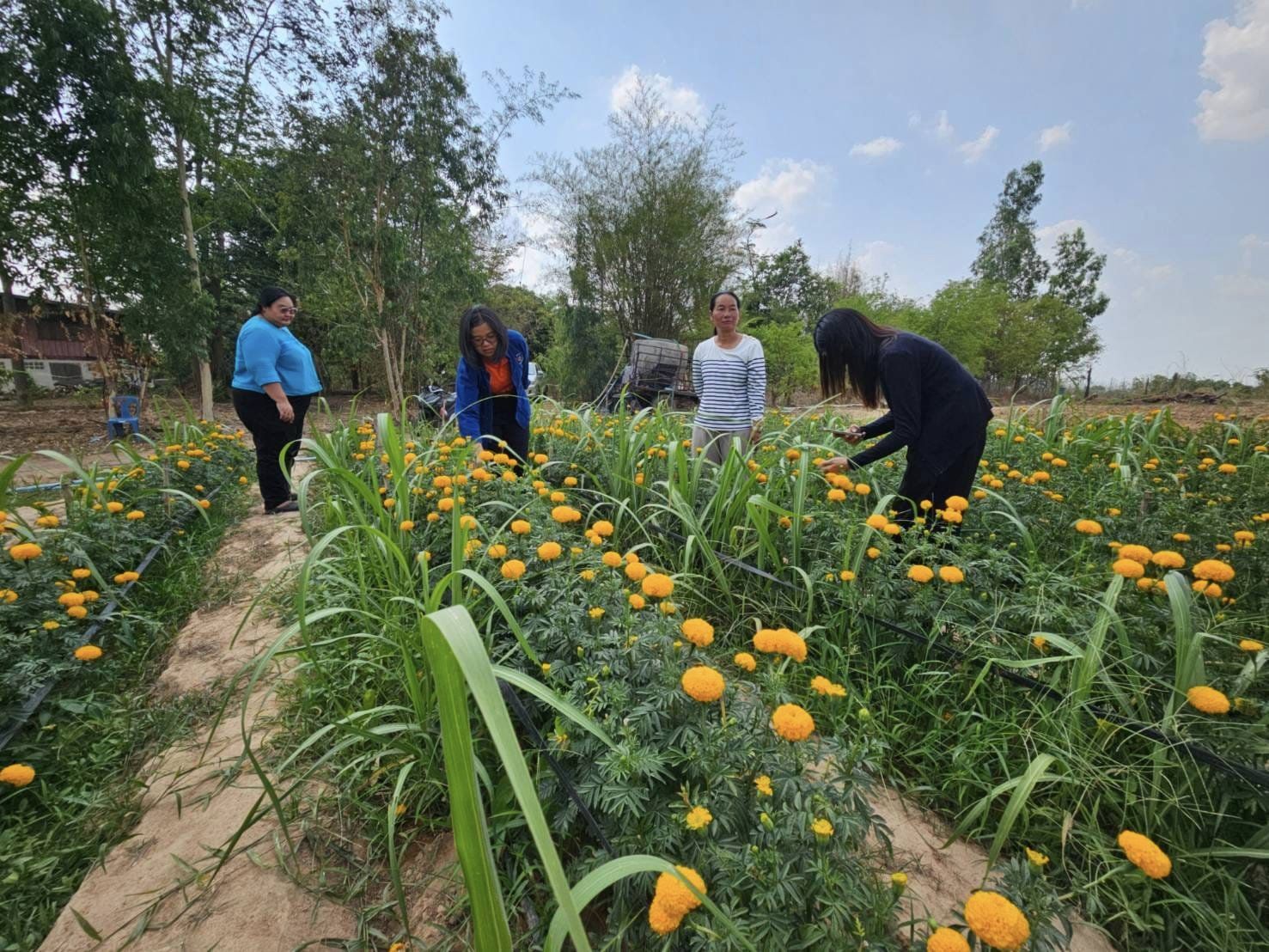 พช.ชัยภูมิ : ร่วมติดตามและสนับสนุนการดำเนินงานในการบริหารจัดการหนี้ และกลุ่มอาชีพที่ลงทะเบียนผลิตภัณฑ์ชุมชน OTOP ประจำปี 2567 อำเภอภักดีชุมพล จังหวัดชัยภูมิ