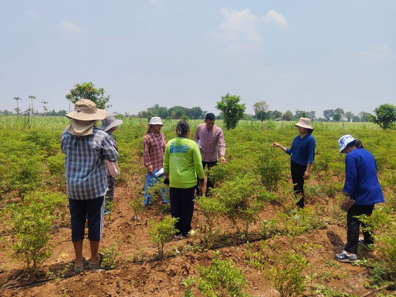 พช.ชัยภูมิ : ร่วมติดตามและสนับสนุนการดำเนินงานตามตัวชี้วัดการปฏิบัติราชการ ของข้าราชการพลเรือนสามัญ ในสังกัดกรมการพัฒนาชุมชน รอบการประเมินที่ 2/2567 ตัวชี้วัดที่ 5 ระดับความสำเร็จในการบริหารจัดการหนี้ และกลุ่มอาชีพที่ลงทะเบียนผลิตภัณฑ์ชุมชน OTOP ประจำปี 2567