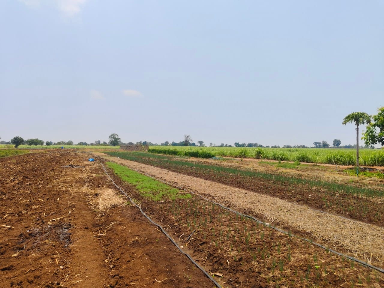 พช.ชัยภูมิ : ร่วมติดตามและสนับสนุนการดำเนินงานตามตัวชี้วัดการปฏิบัติราชการ ของข้าราชการพลเรือนสามัญ ในสังกัดกรมการพัฒนาชุมชน รอบการประเมินที่ 2/2567 ตัวชี้วัดที่ 5 ระดับความสำเร็จในการบริหารจัดการหนี้ และกลุ่มอาชีพที่ลงทะเบียนผลิตภัณฑ์ชุมชน OTOP ประจำปี 2567