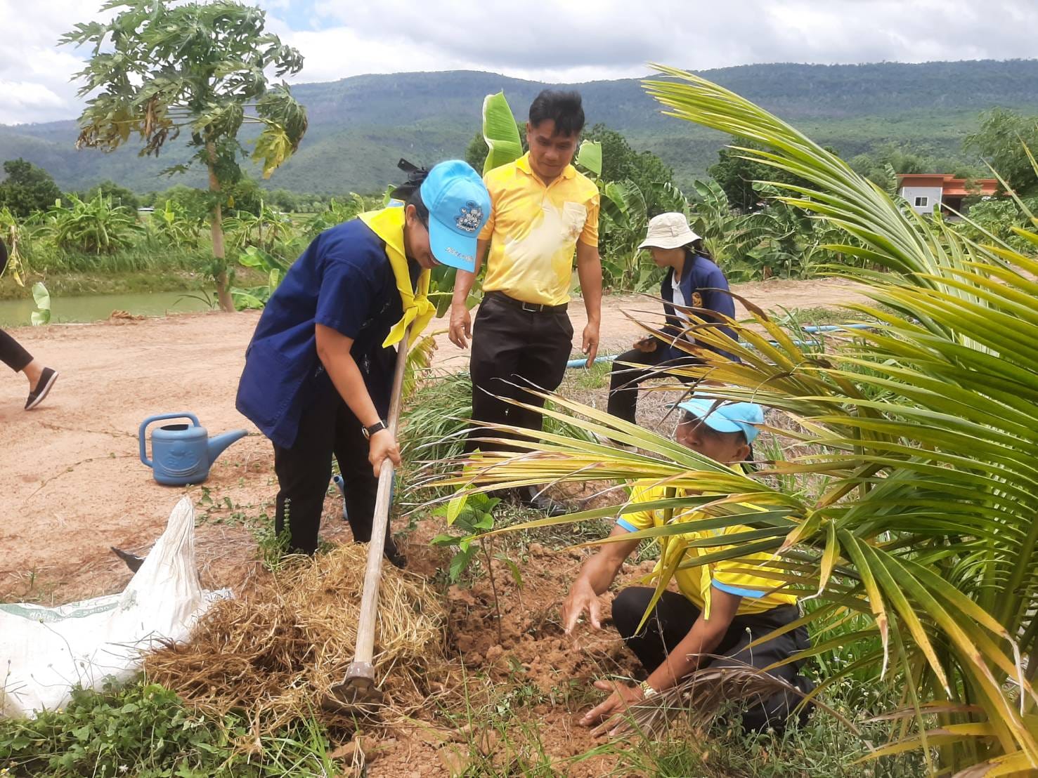 พช.ชัยภูมิ จัดกิจกรรม “เอามื้อสามัคคี ทำความดี ถวายเป็นพระราชกุศล” เนื่องในโอกาสวันเฉลิมพระชนมพรรษา สมเด็จพระนางเจ้าฯ พระบรมราชินี 3 มิถุนายน 2567