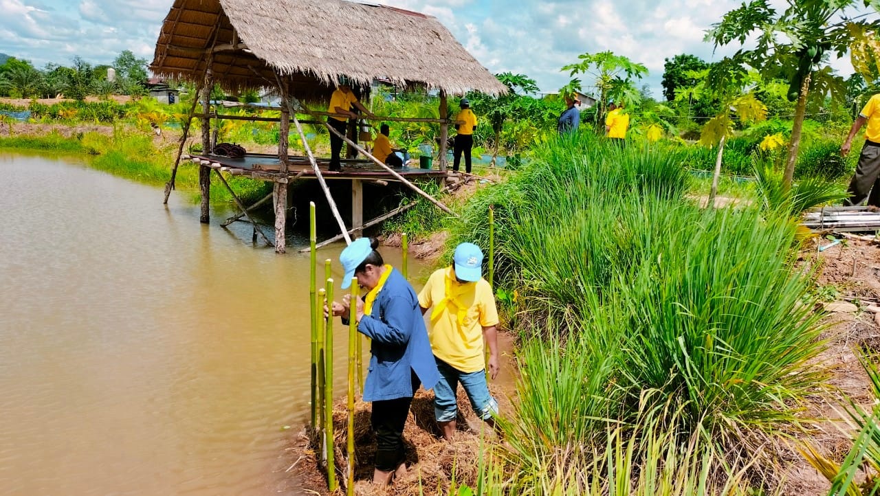 พช.ชัยภูมิ จัดกิจกรรม “เอามื้อสามัคคี ทำความดี ถวายเป็นพระราชกุศล” เนื่องในโอกาสวันเฉลิมพระชนมพรรษา สมเด็จพระนางเจ้าฯ พระบรมราชินี 3 มิถุนายน 2567