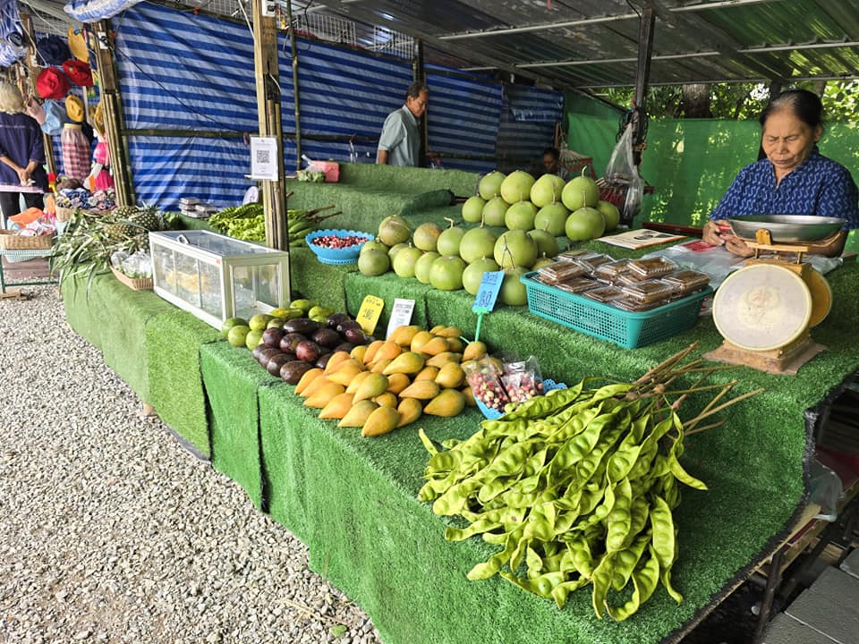 พช.ชัยภูมิ ร่วมแถลงข่าว เตรียมเปิดเทศกาลท่องเที่ยวดอกกระเจียวบาน ประจำปี 2567 จังหวัดชัยภูมิ
