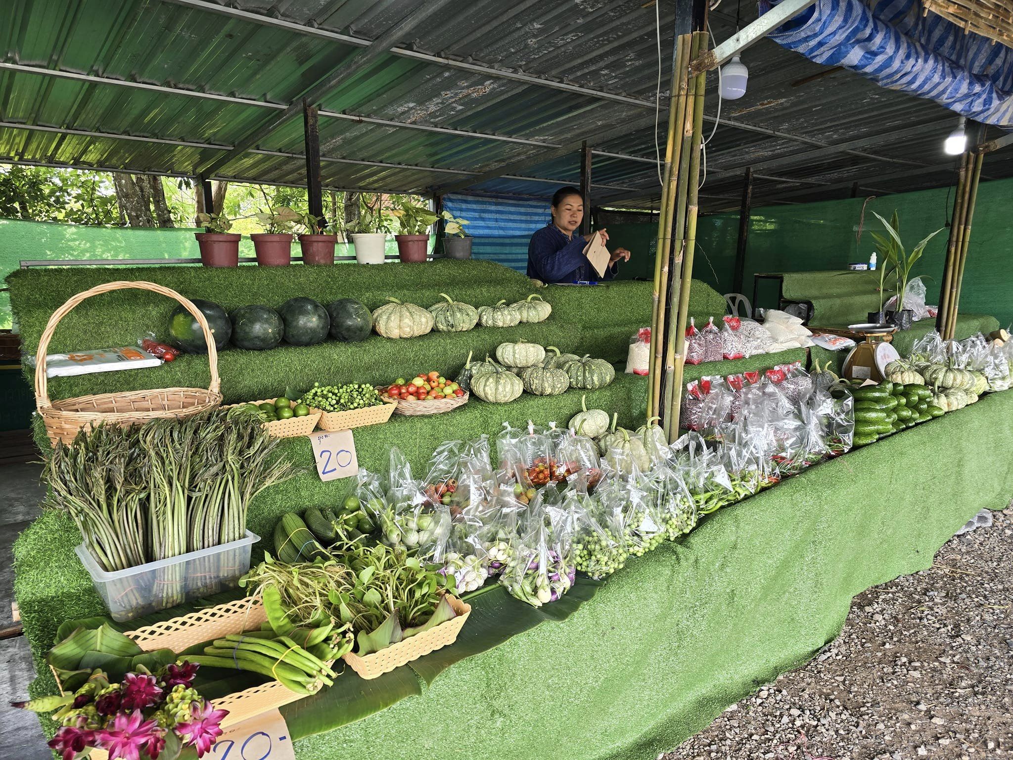 พช.ชัยภูมิ ร่วมแถลงข่าว เตรียมเปิดเทศกาลท่องเที่ยวดอกกระเจียวบาน ประจำปี 2567 จังหวัดชัยภูมิ