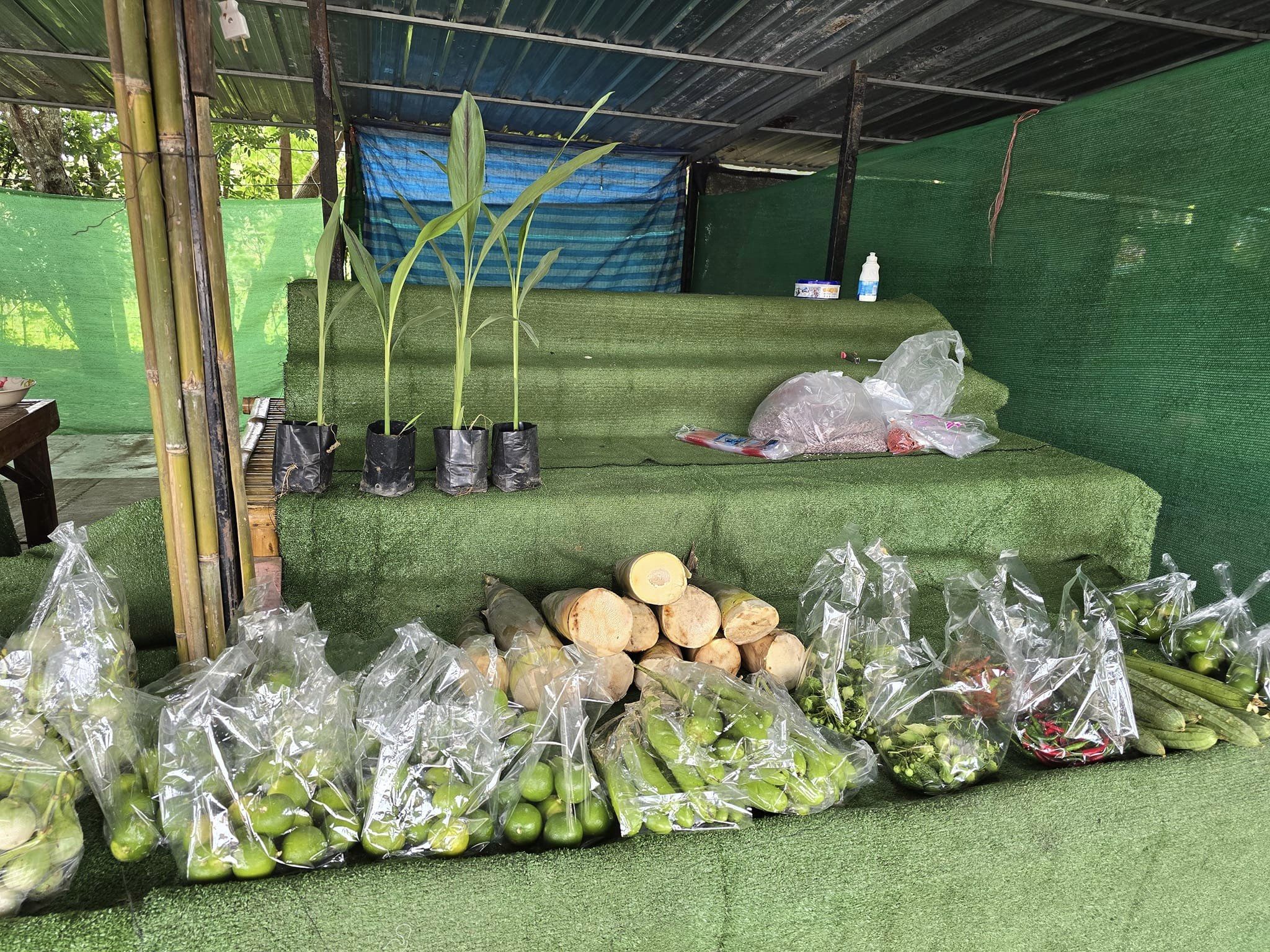 พช.ชัยภูมิ ร่วมแถลงข่าว เตรียมเปิดเทศกาลท่องเที่ยวดอกกระเจียวบาน ประจำปี 2567 จังหวัดชัยภูมิ