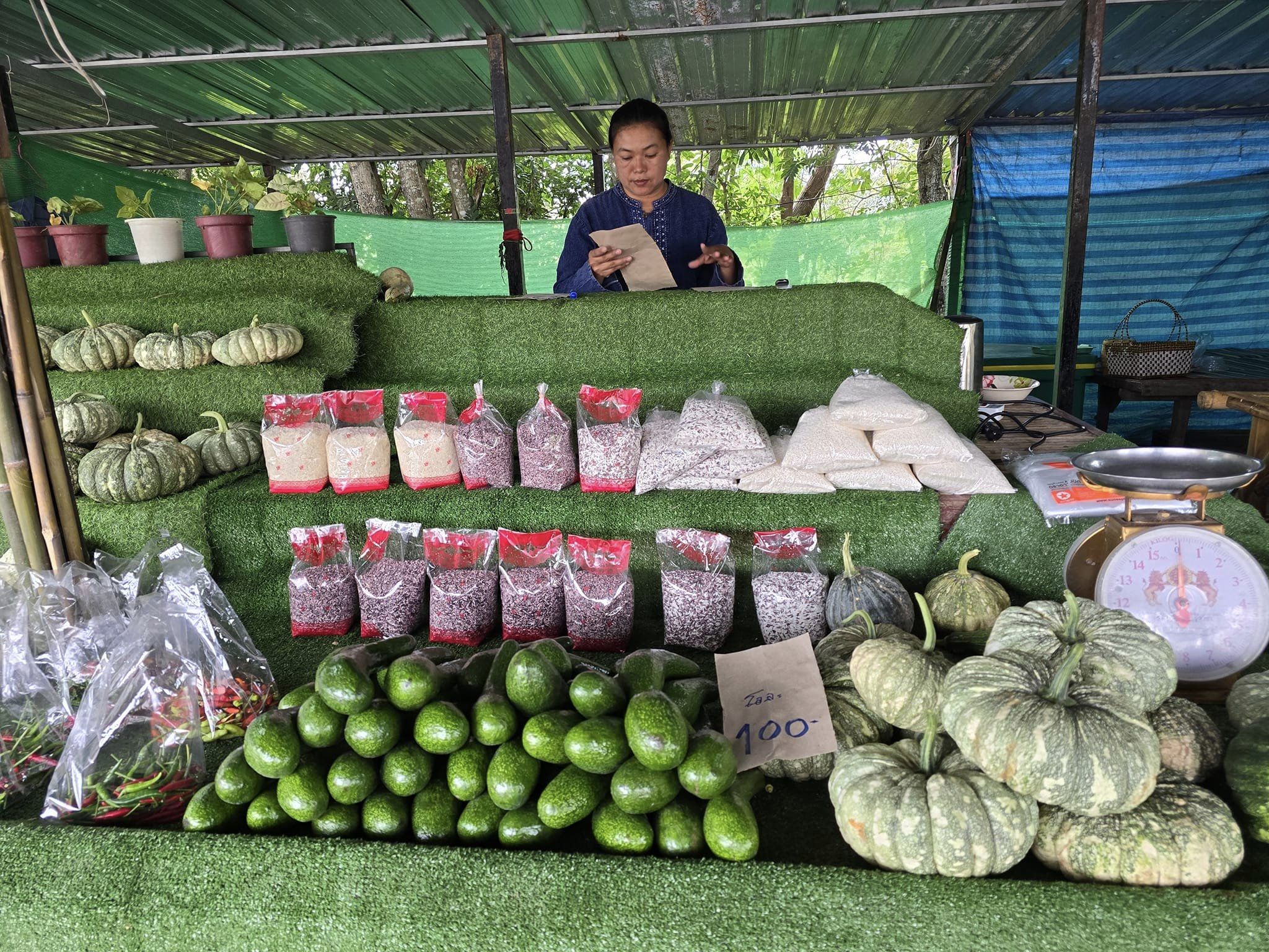 พช.ชัยภูมิ ร่วมแถลงข่าว เตรียมเปิดเทศกาลท่องเที่ยวดอกกระเจียวบาน ประจำปี 2567 จังหวัดชัยภูมิ