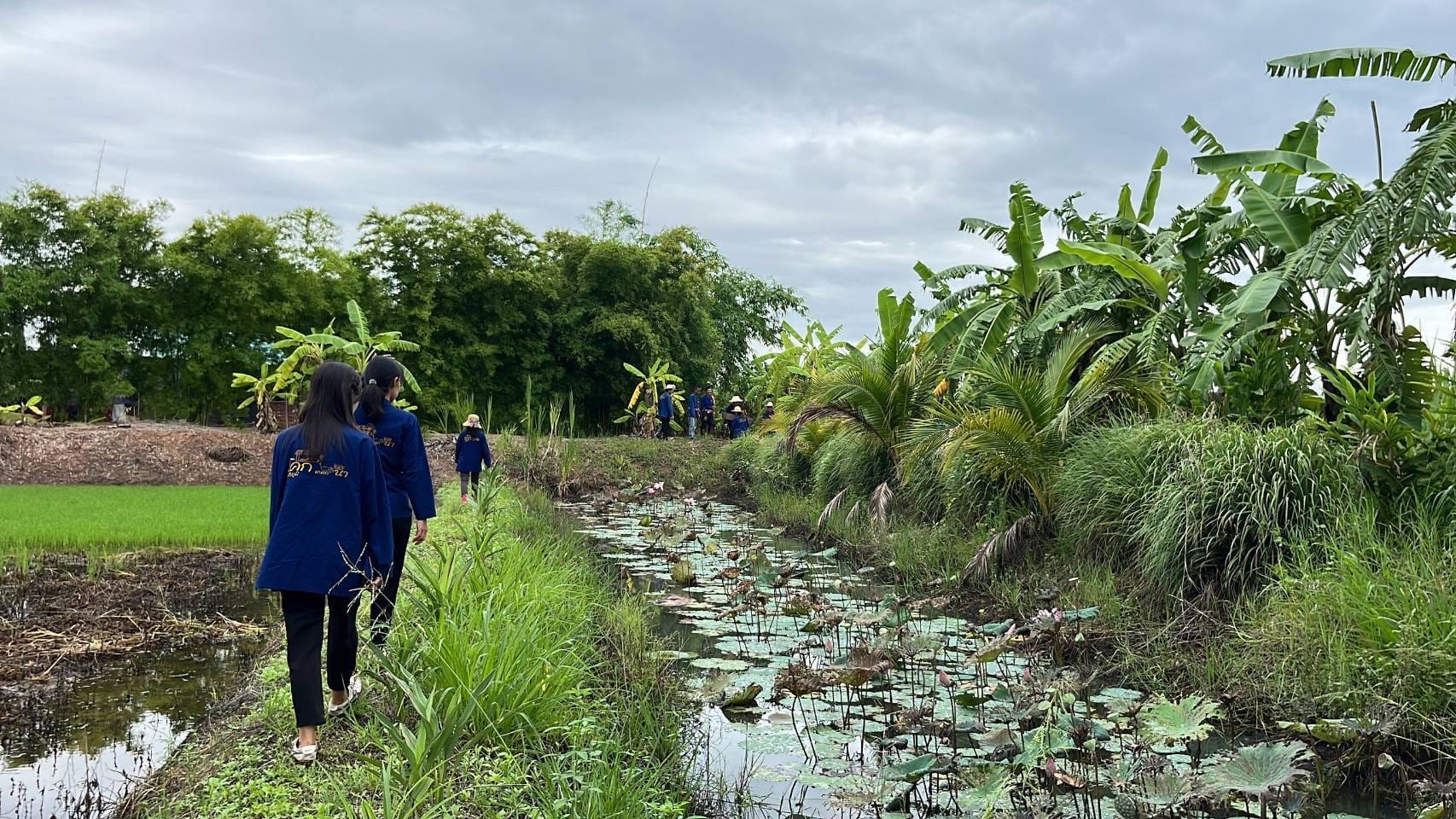 พช.ชัยภูมิ ถ่ายทำคลิปวีดิทัศน์ผลสำเร็จโคกหนองนาพัฒนาชุมชนอำเภอแก้งคร้อ จังหวัดชัยภูมิ