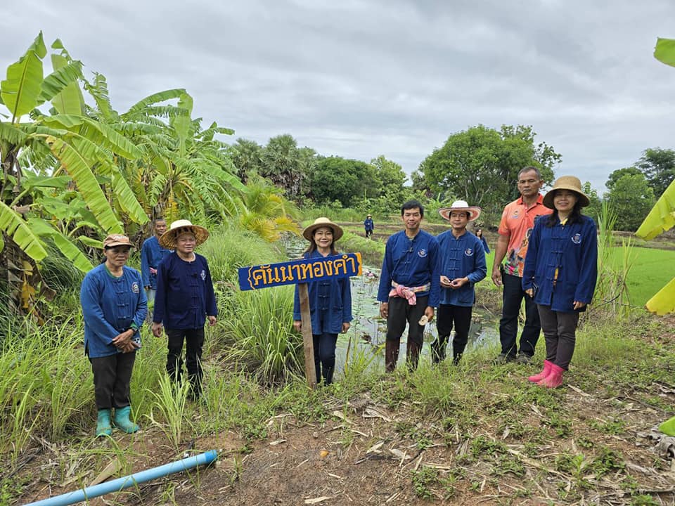 พช.ชัยภูมิ ถ่ายทำคลิปวีดิทัศน์ผลสำเร็จโคกหนองนาพัฒนาชุมชนอำเภอแก้งคร้อ จังหวัดชัยภูมิ