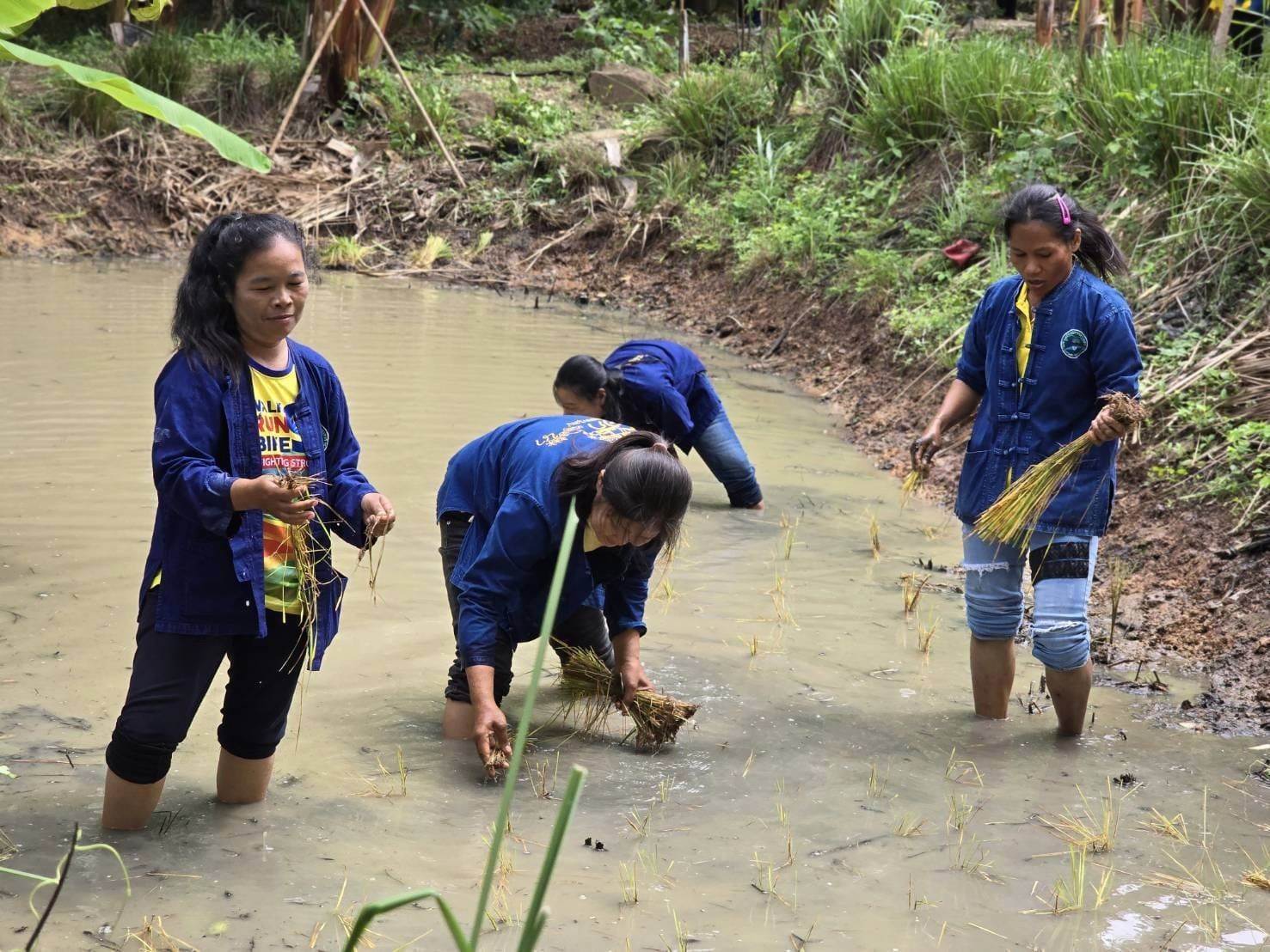 พช.ชัยภูมิ จัดกิจกรรมมหกรรมรวมพลคนโคก หนอง นา พัฒนาชุมชน เฉลิมพระเกียรติพระบาทสมเด็จพระเจ้าอยู่หัวเนื่องในโอกาสพระราชพิธีมหามงคลเฉลิมพระชนมพรรษา 6 รอบ 28 กรกฎาคม 2567