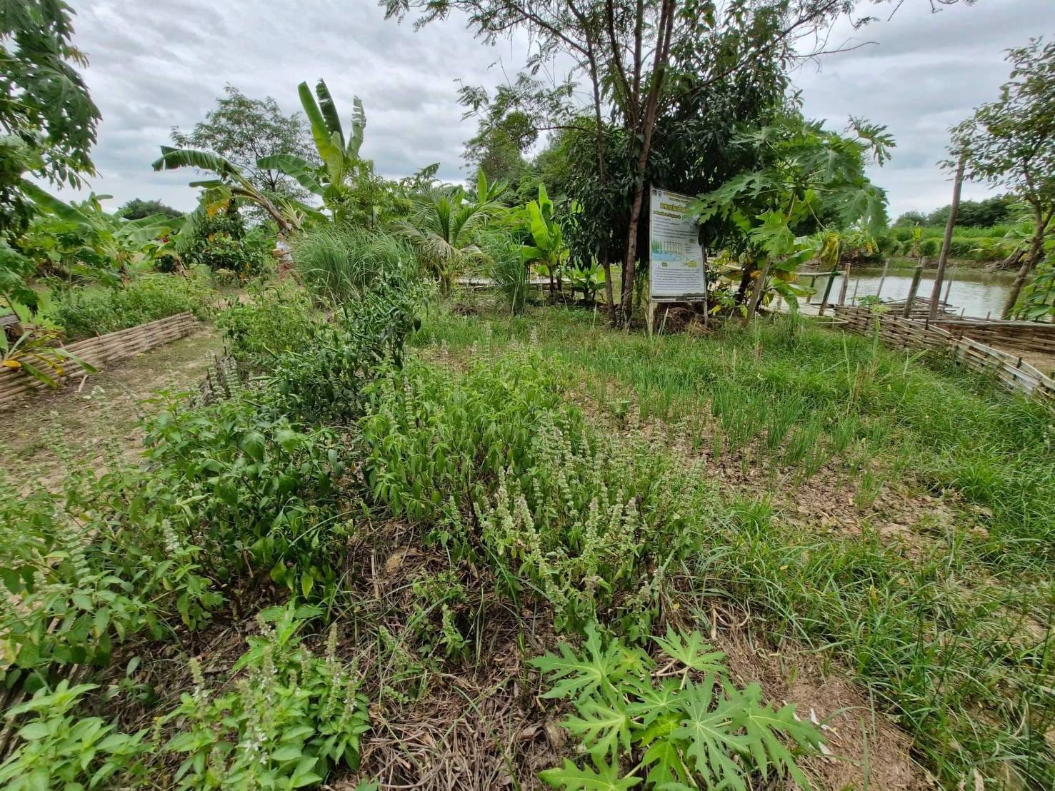 ผู้ตรวจราชการกรมการพัฒนาชุมชน ลงพื้นที่ตรวจเยี่ยมการขับเคลื่อนโครงการ โคก หนอง นา อารยเกษตร เฉลิมพระเกียรติพระบาทสมเด็จพระเจ้าอยู่หัว เนื่องในโอกาสพระราชพิธีมหามงคลเฉลิมพระชนมพรรษา 6 รอบ 28 กรกฎาคม 2567