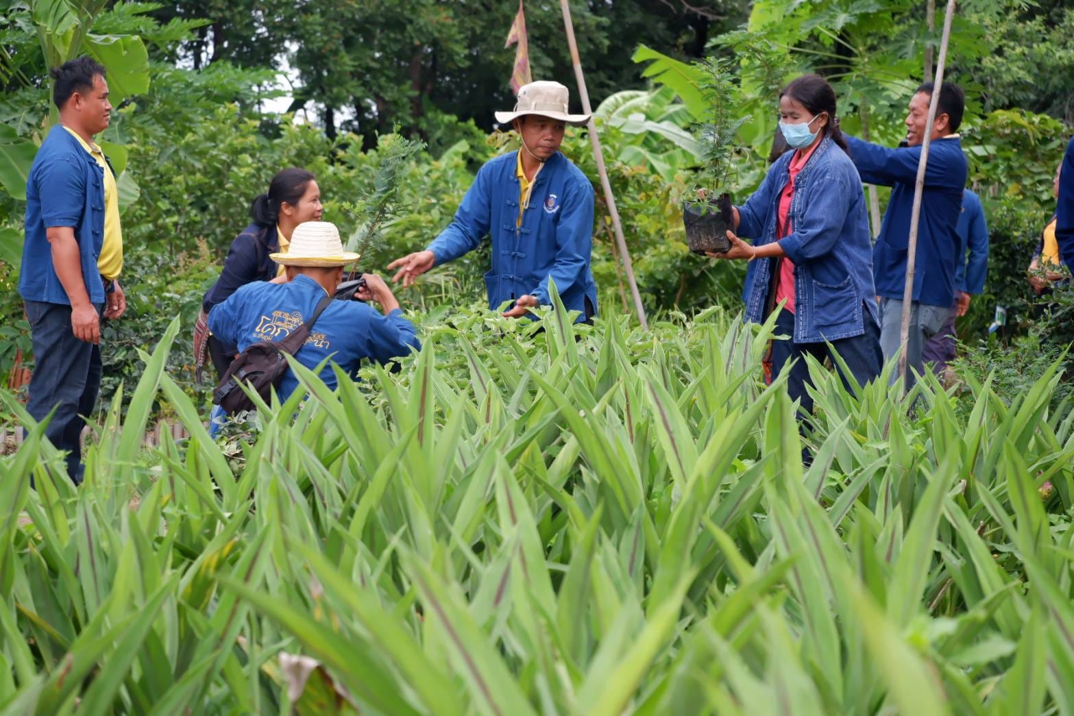พช.ชัยภูมิ จัดกิจกรรมมหกรรมรวมพลคนโคก หนอง นา พัฒนาชุมชน เฉลิมพระเกียรติพระบาทสมเด็จพระเจ้าอยู่หัวเนื่องในโอกาสพระราชพิธีมหามงคลเฉลิมพระชนมพรรษา 6 รอบ 28 กรกฎาคม 2567