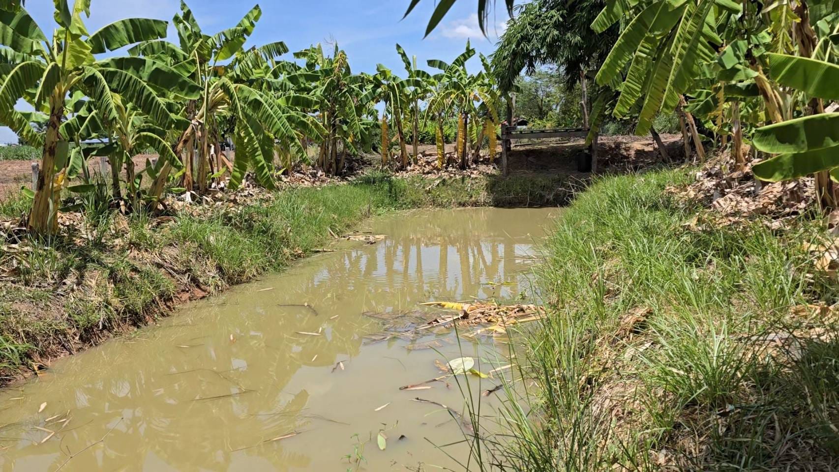 ผู้ตรวจราชการกรมการพัฒนาชุมชน ลงพื้นที่ตรวจเยี่ยมการขับเคลื่อนโครงการ โคก หนอง นา อารยเกษตร เฉลิมพระเกียรติพระบาทสมเด็จพระเจ้าอยู่หัว เนื่องในโอกาสพระราชพิธีมหามงคลเฉลิมพระชนมพรรษา 6 รอบ 28 กรกฎาคม 2567