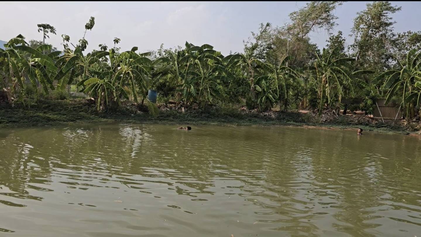 ผู้ตรวจราชการกรมการพัฒนาชุมชน ลงพื้นที่ตรวจเยี่ยมการขับเคลื่อนโครงการ โคก หนอง นา อารยเกษตร เฉลิมพระเกียรติพระบาทสมเด็จพระเจ้าอยู่หัว เนื่องในโอกาสพระราชพิธีมหามงคลเฉลิมพระชนมพรรษา 6 รอบ 28 กรกฎาคม 2567