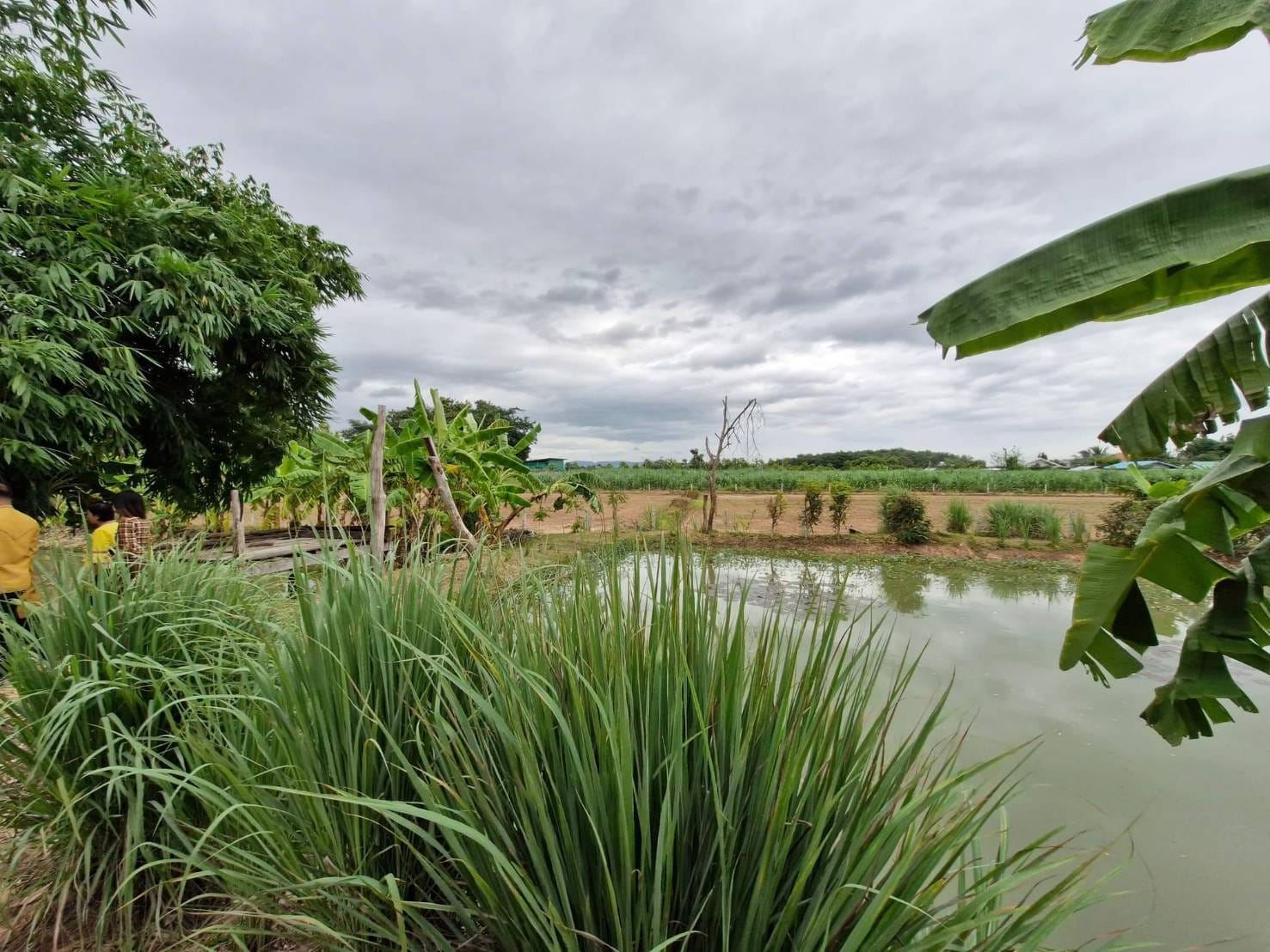 ผู้ตรวจราชการกรมการพัฒนาชุมชน ลงพื้นที่ตรวจเยี่ยมการขับเคลื่อนโครงการ โคก หนอง นา อารยเกษตร เฉลิมพระเกียรติพระบาทสมเด็จพระเจ้าอยู่หัว เนื่องในโอกาสพระราชพิธีมหามงคลเฉลิมพระชนมพรรษา 6 รอบ 28 กรกฎาคม 2567