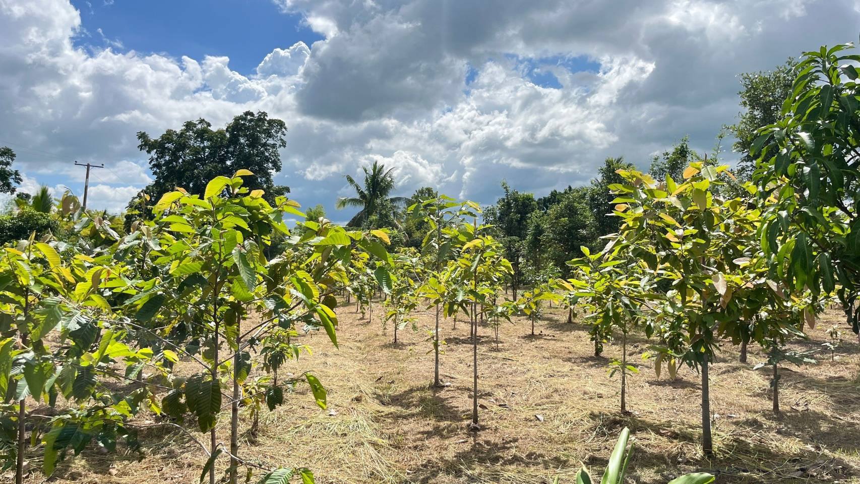 ผู้ว่าราชการจังหวัดชัยภูมิ ลงพื้นที่เยี่ยมชมแปลงโคกหนองนา พัฒนาชุมชน อำเภอแก้งคร้อ จังหวัดชัยภูมิ