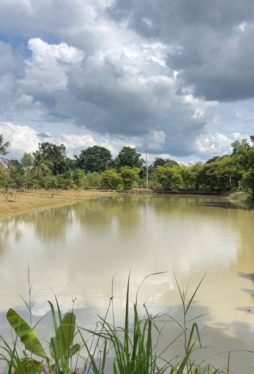 ผู้ว่าราชการจังหวัดชัยภูมิ ลงพื้นที่เยี่ยมชมแปลงโคกหนองนา พัฒนาชุมชน อำเภอแก้งคร้อ จังหวัดชัยภูมิ