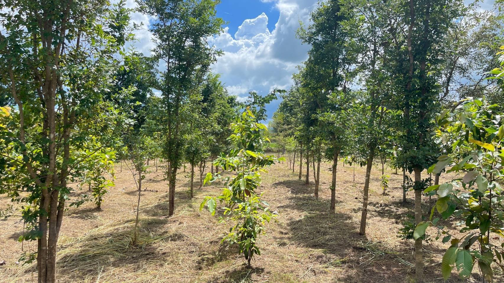 ผู้ว่าราชการจังหวัดชัยภูมิ ลงพื้นที่เยี่ยมชมแปลงโคกหนองนา พัฒนาชุมชน อำเภอแก้งคร้อ จังหวัดชัยภูมิ