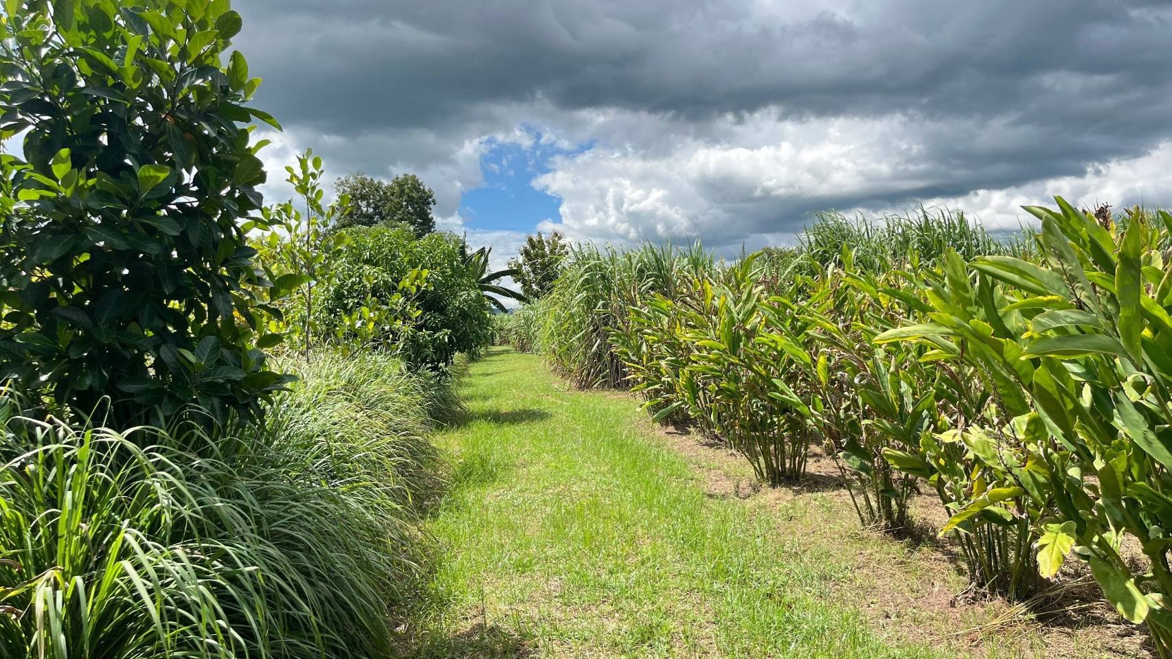 ผู้ว่าราชการจังหวัดชัยภูมิ ลงพื้นที่เยี่ยมชมแปลงโคกหนองนา พัฒนาชุมชน อำเภอแก้งคร้อ จังหวัดชัยภูมิ