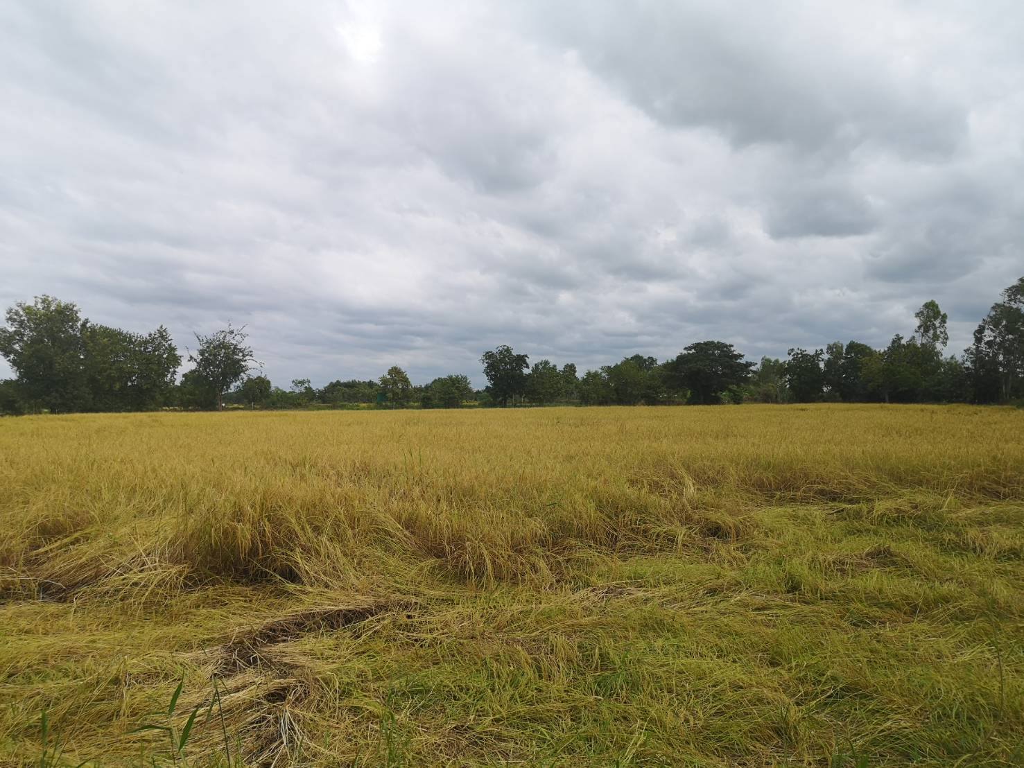 พช.ชัยภูมิ ร่วมติดตามผลสำเร็จ พื้นที่ครัวเรือนต้นแบบแปลงโคกหนองนา และสำรวจสถานะศูนย์เรียนรู้การพัฒนาคุณภาพชีวิตตามหลักทฤษฎีใหม่ ประยุกต์สู่ “โคก หนอง นา” และRe X-ray ครัวเรือน TPMAP ขจัดความยากจนและพัฒนาคนทุกช่วงวัยอย่างยั่งยืน​ในพื้นที่อำเภอเมืองชัยภูมิ