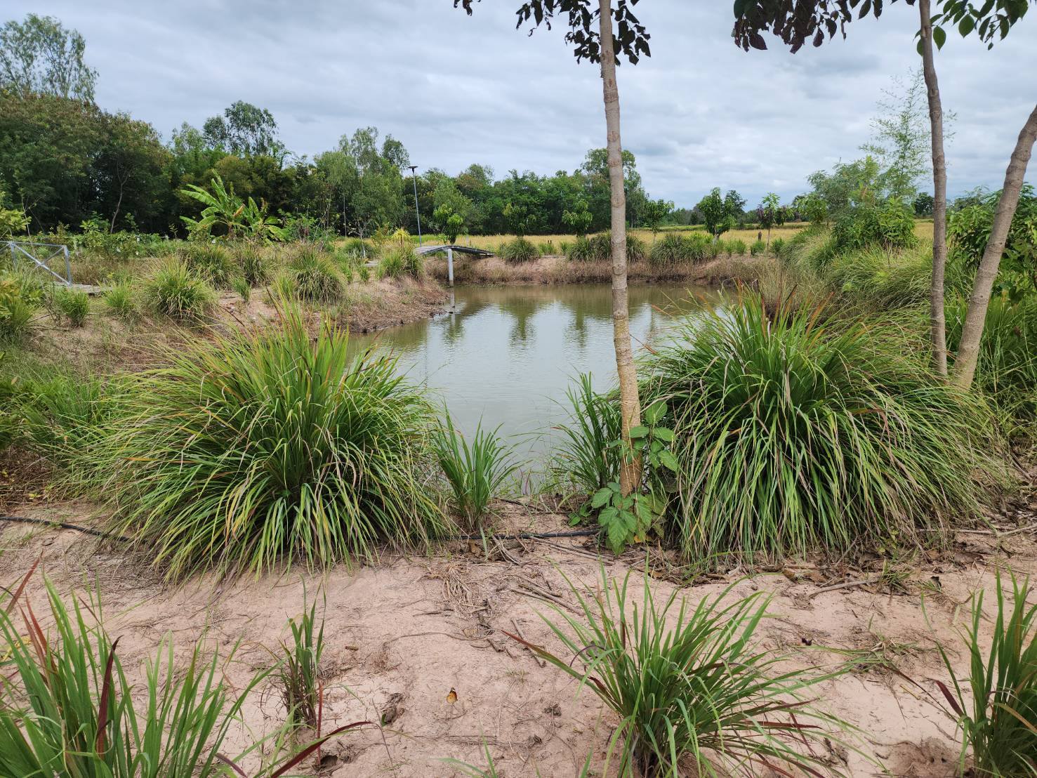 พช.ชัยภูมิ ร่วมติดตามผลสำเร็จ พื้นที่ครัวเรือนต้นแบบแปลงโคกหนองนา และสำรวจสถานะศูนย์เรียนรู้การพัฒนาคุณภาพชีวิตตามหลักทฤษฎีใหม่ ประยุกต์สู่ “โคก หนอง นา” และRe X-ray ครัวเรือน TPMAP ขจัดความยากจนและพัฒนาคนทุกช่วงวัยอย่างยั่งยืน​ในพื้นที่อำเภอเมืองชัยภูมิ