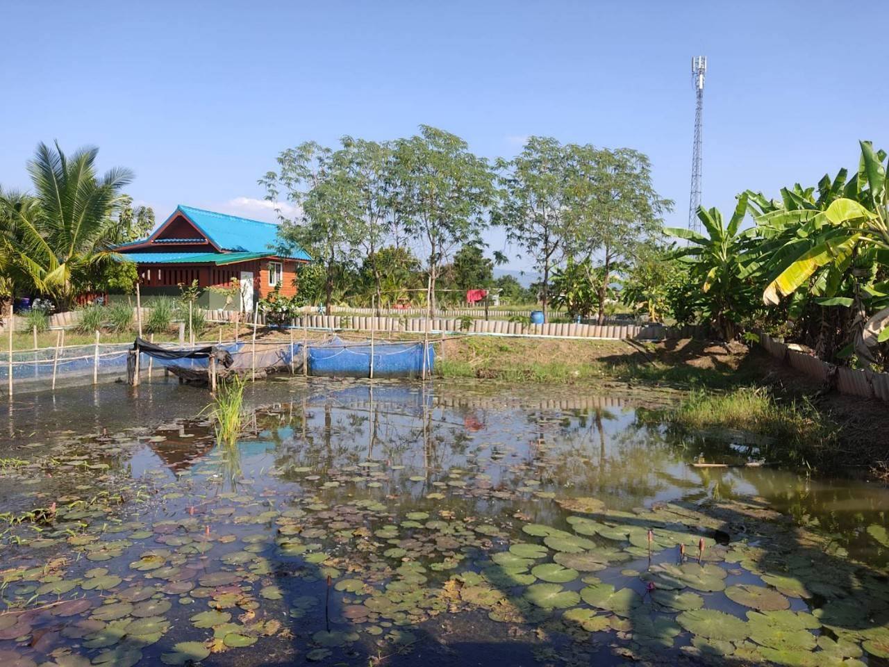 พช.ชัยภูมิ  ร่วมประชุมสนับสนุนและวางแผนขับเคลื่อนงานพัฒนาชุมชน ประจำเดือนพฤศจิกายน 2567 อำเภอหนองบัวแดง จังหวัดชัยภูมิ