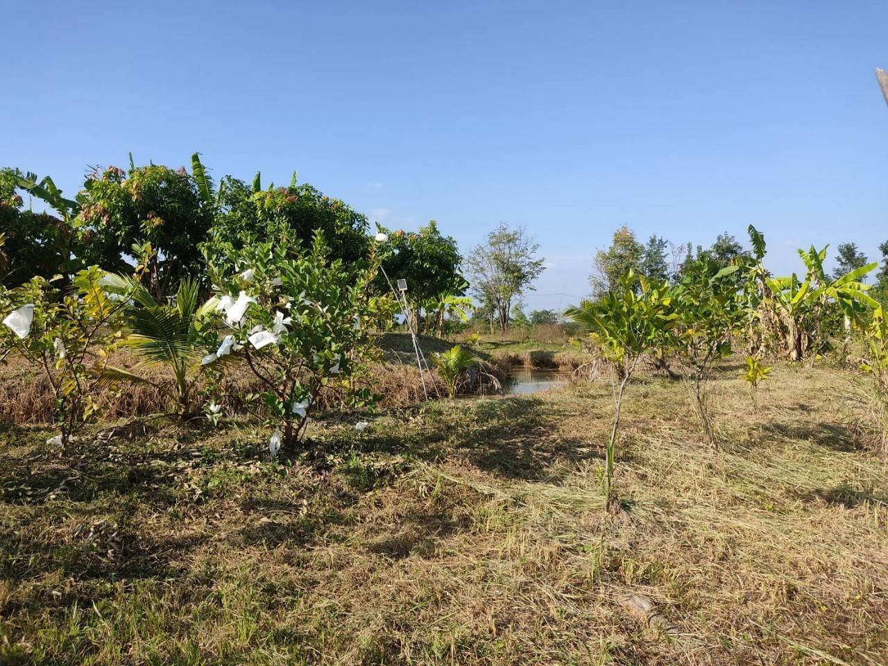 พช.ชัยภูมิ  ร่วมประชุมสนับสนุนและวางแผนขับเคลื่อนงานพัฒนาชุมชน ประจำเดือนพฤศจิกายน 2567 อำเภอหนองบัวแดง จังหวัดชัยภูมิ
